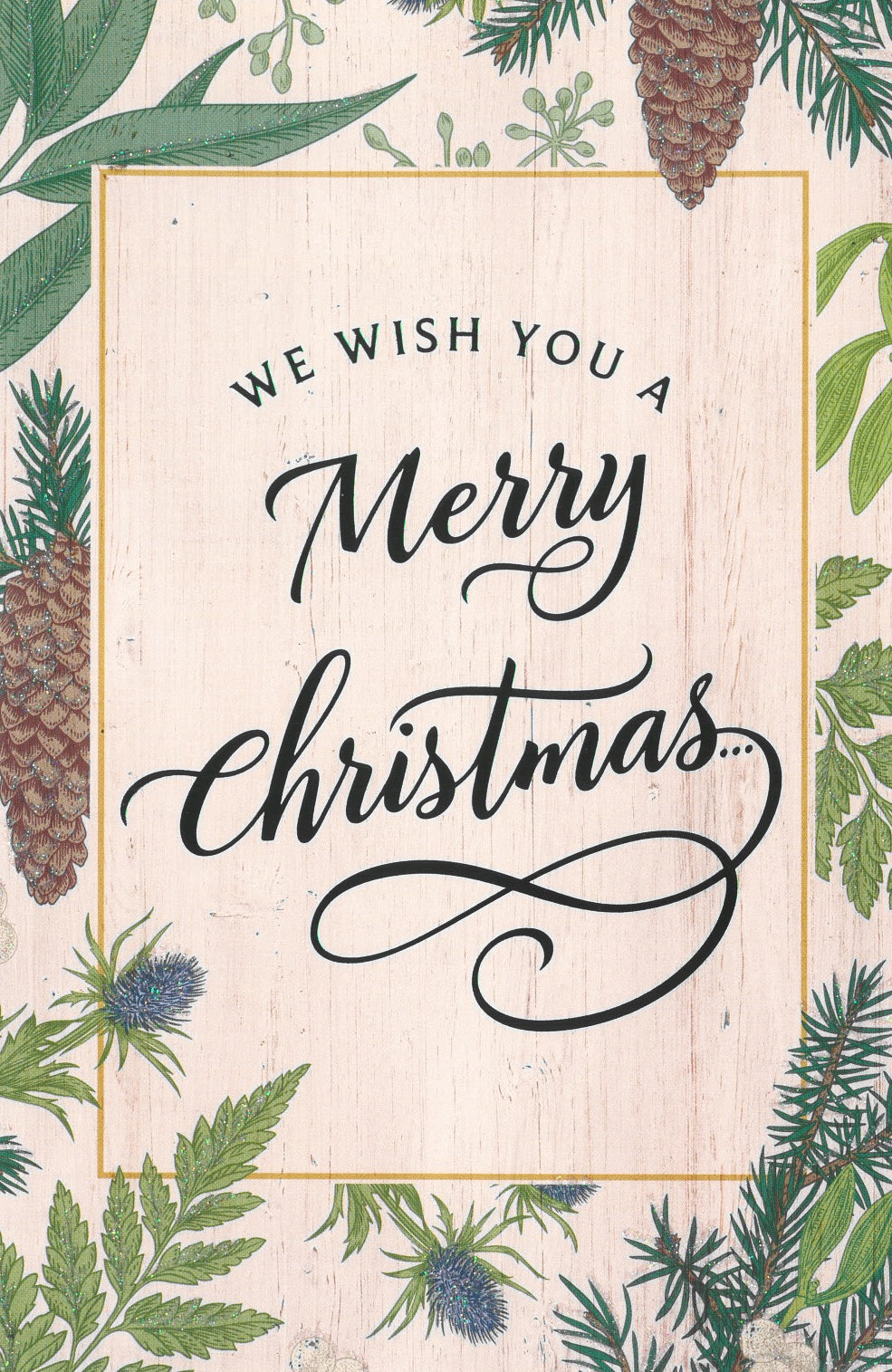 Dayspring We Wish You A Merry Christmas Cards, Multi 81983686689