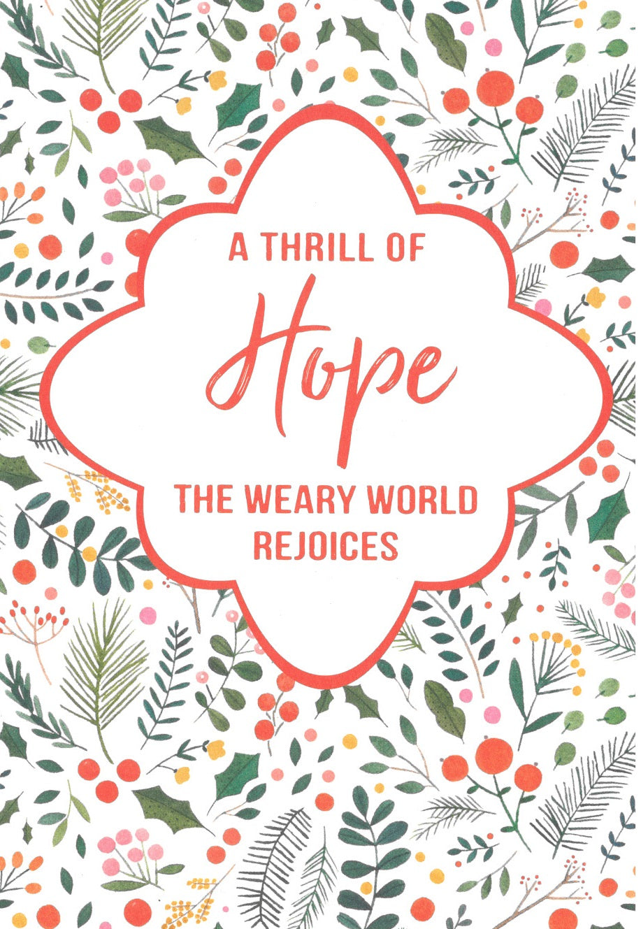 DaySpring - Thrill of Hope Good Steward Christmas Cards - 18 Christmas Boxed Cards with White Envelopes, KJV (J6343) 81983746123