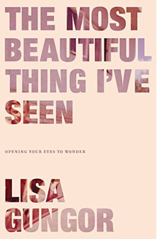 The Most Beautiful Thing I've Seen: Opening Your Eyes to Wonder 9780310350439