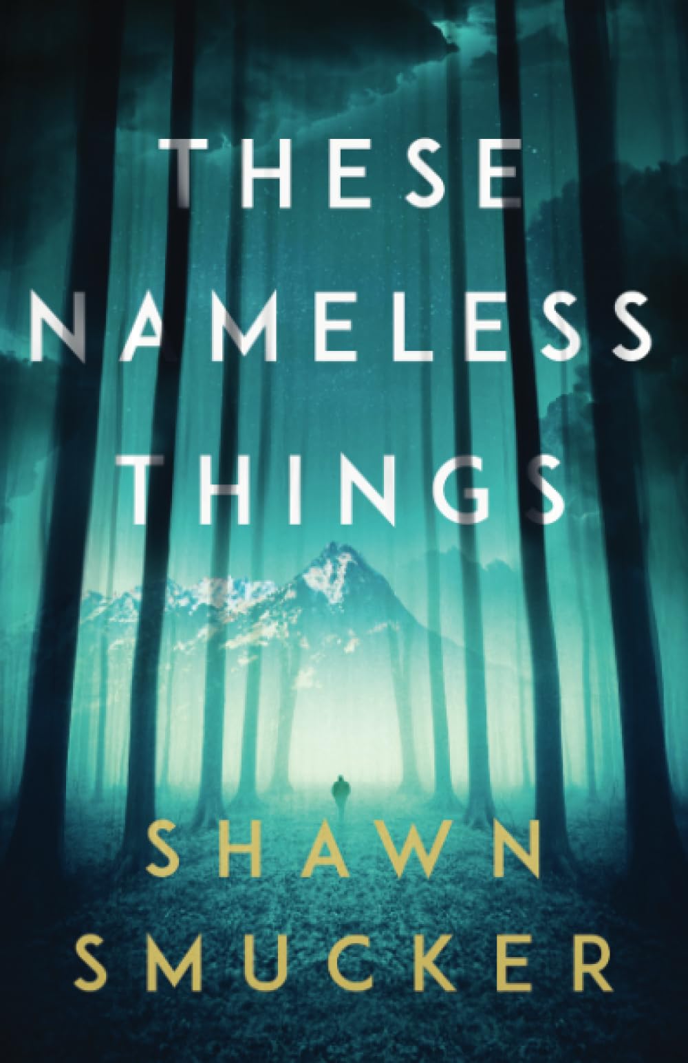 These Nameless Things 9780800735302