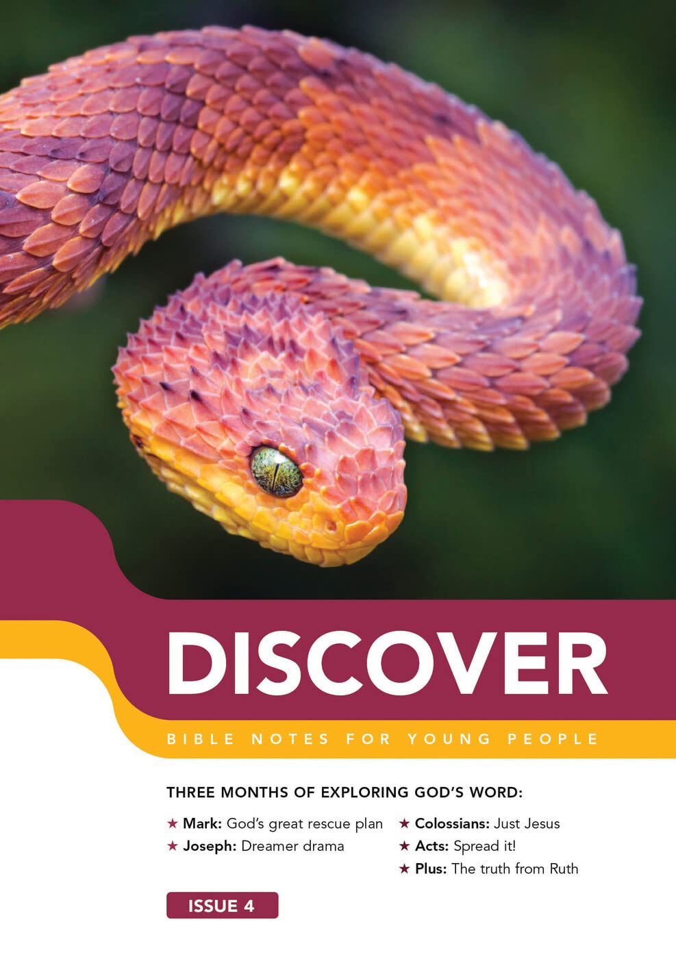 Discover: Book 4 9781784980566
