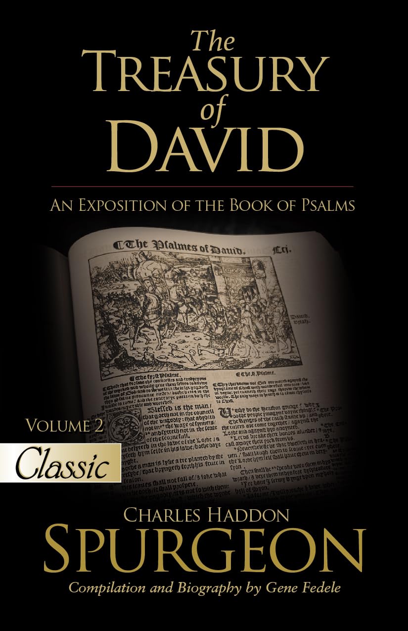 The Treasury of David: An Exposition of the Book of Psalms Volume 2 Psalms 18-27 9781610369923