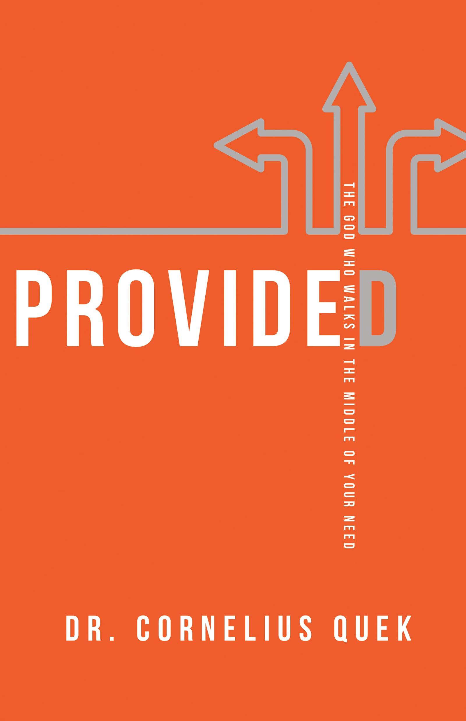 Provided: The God Who Walks in the Middle of Your Need 9781641230032