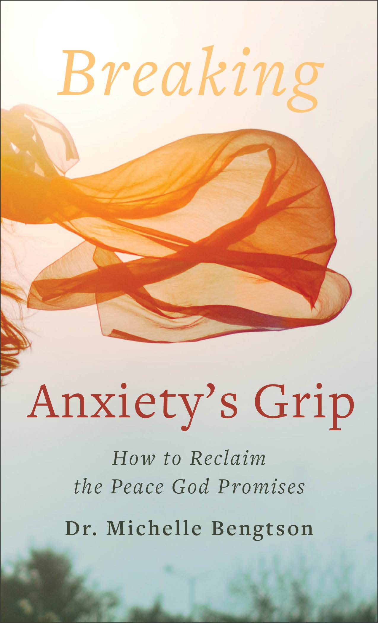 Breaking Anxiety's Grip: How to Reclaim the Peace God Promises 9780800742027