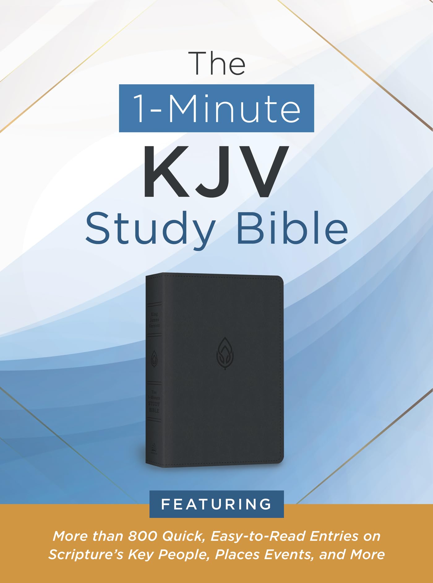 KJV 1-Minute Study Bible (Pewter Blue Imitation Leather)