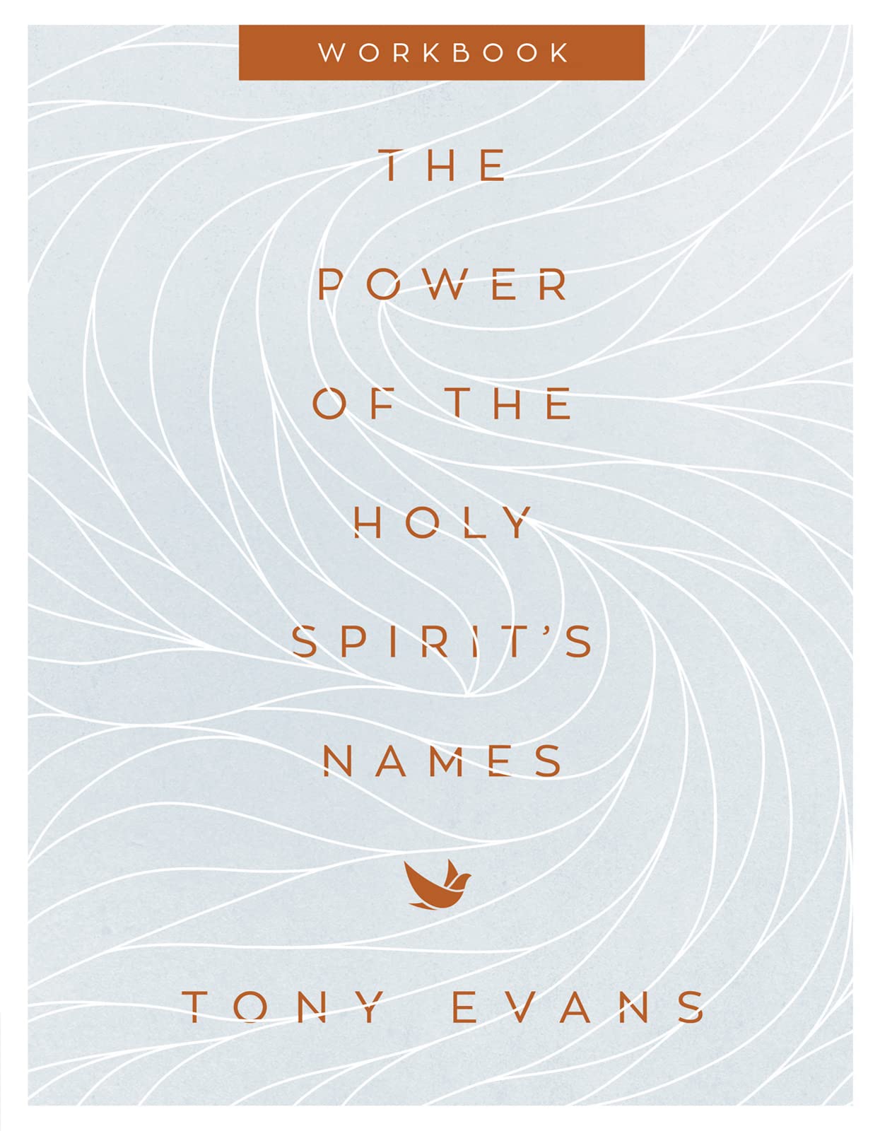 The Power of the Holy Spirit's Names Workbook (The Names of God Series) 9780736979658