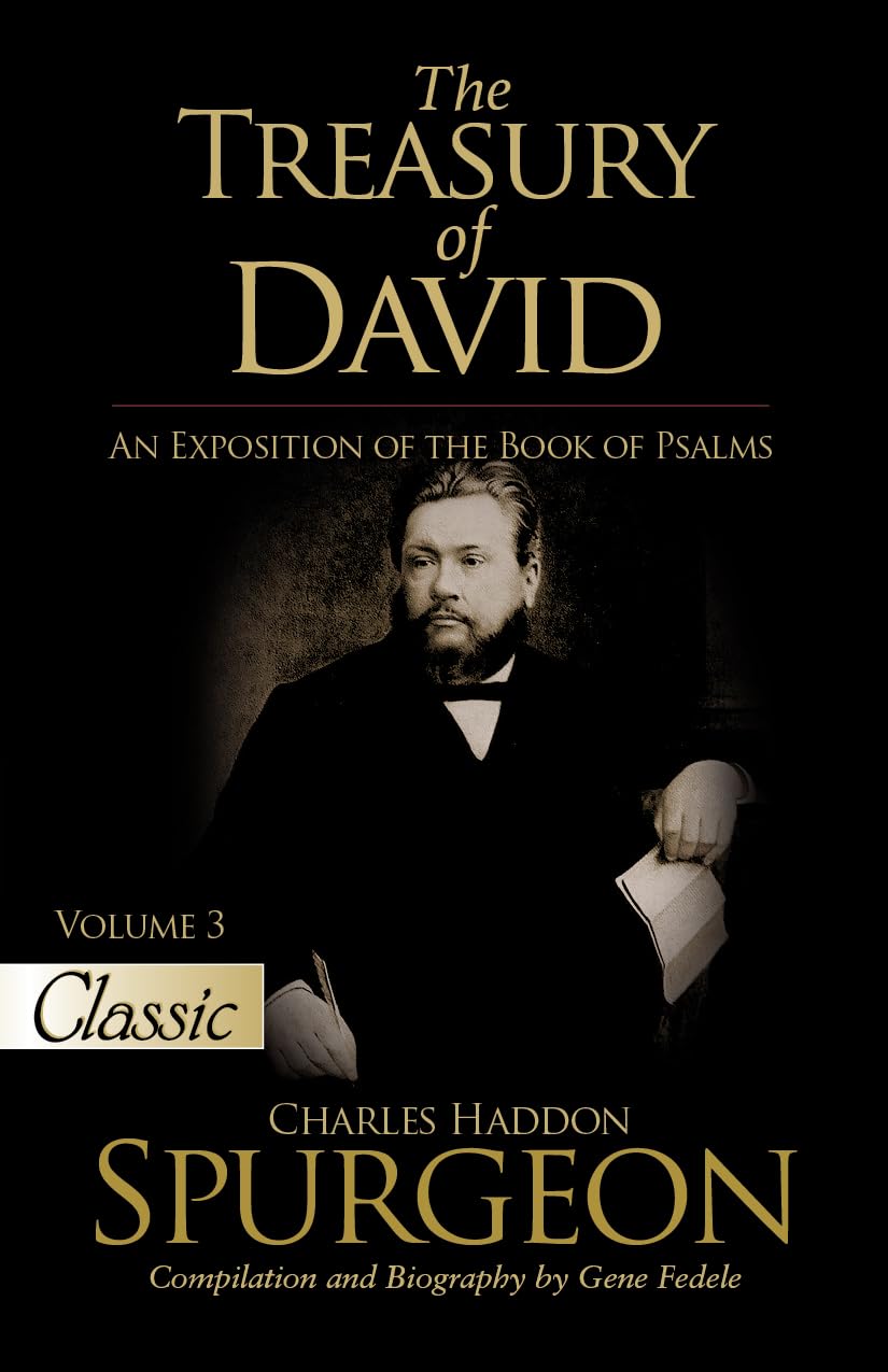 The Treasury of David: An Exposition of the Book of Psalms Volume 3 Psalms 28-41 9781610369893
