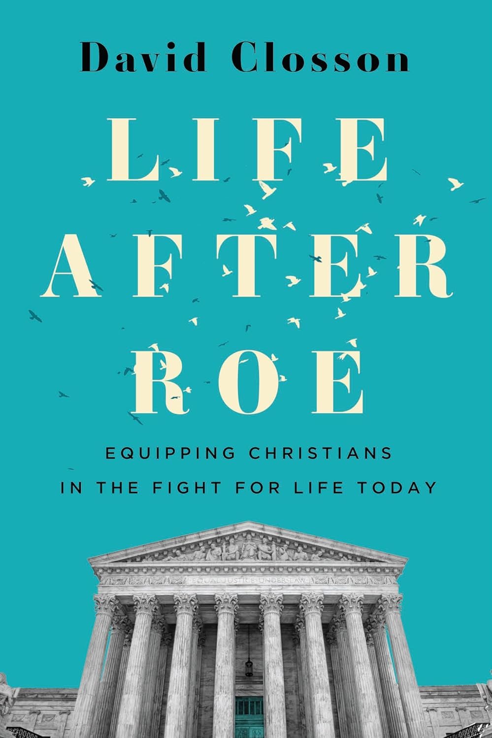 Life After Roe: Equipping Christians in the Fight for Life Today 9781430088004