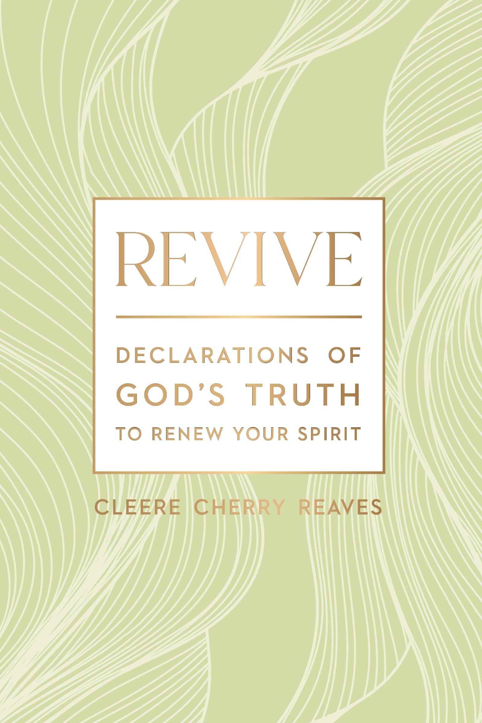 Revive: Declarations of God's Truth to Renew Your Spirit 9781400242191