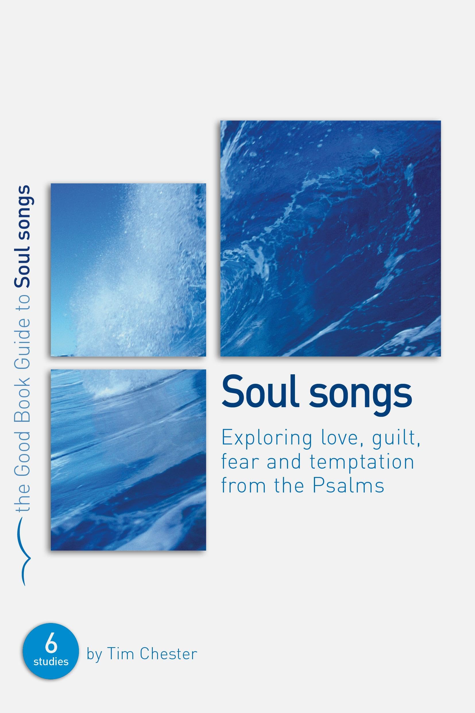 Psalms: Soul Songs (Good Book Guides) 9781904889960