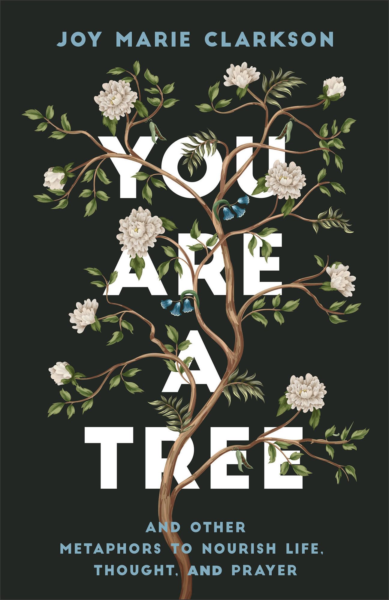 You Are a Tree: And Other Metaphors to Nourish Life, Thought, and Prayer 9780764238253