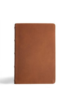 CSB Men's Daily Bible, Brown Genuine Leather, Indexed, Black Letter, Easy-to-Read Bible Serif Type 9781430094111