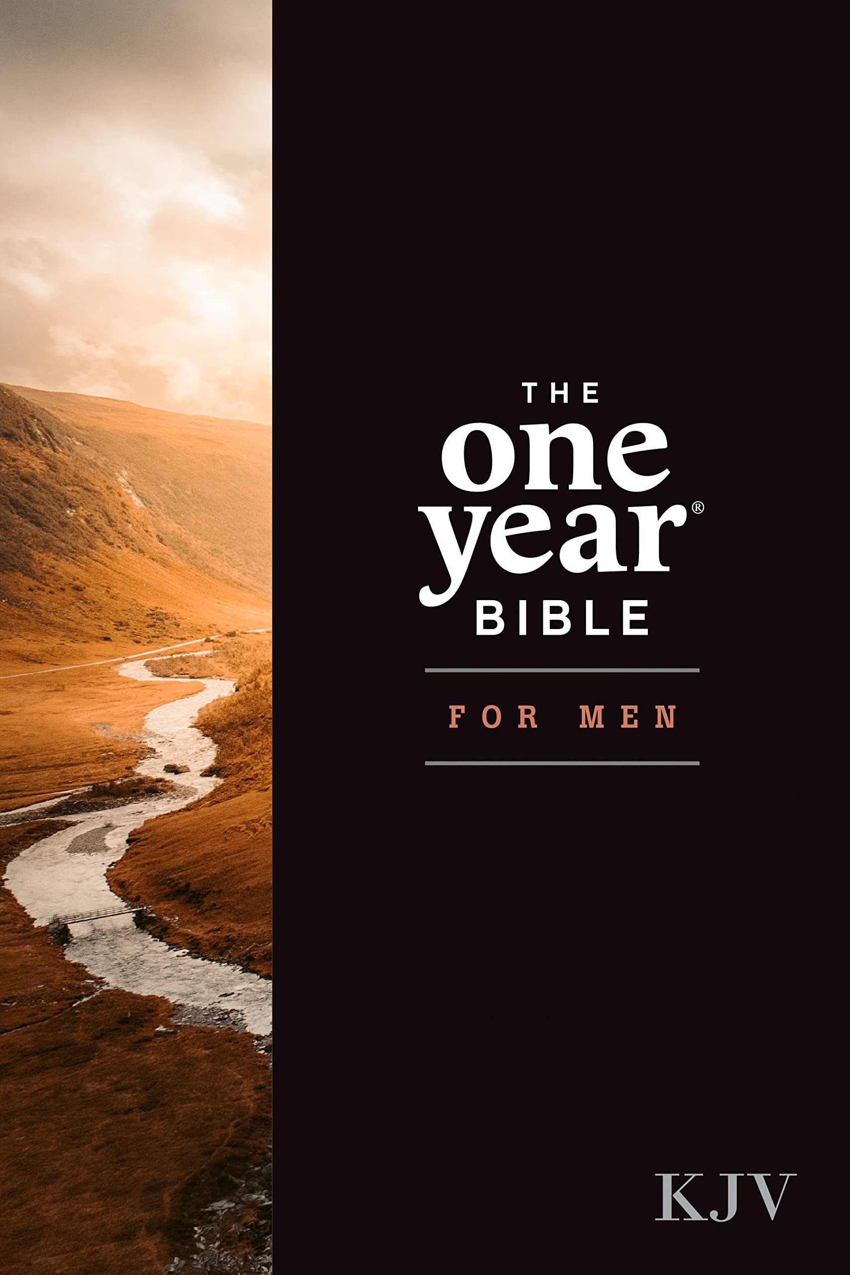 KJV The One Year Bible for Men (Softcover) 9781496478849