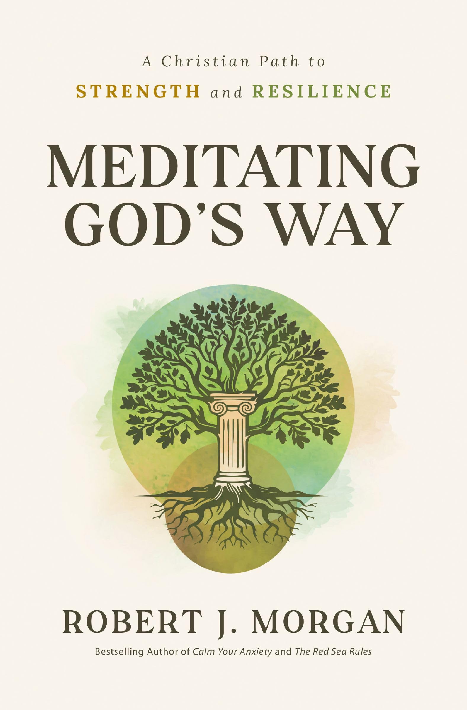 Meditating God's Way: A Christian Path to Strength and Resilience 9781400353361