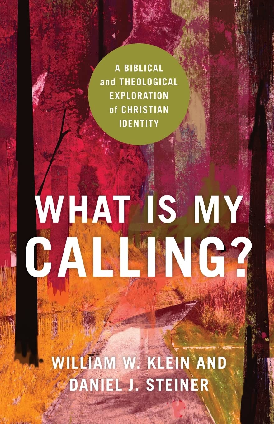What Is My Calling?: A Biblical and Theological Exploration of Christian Identity 9781540963079