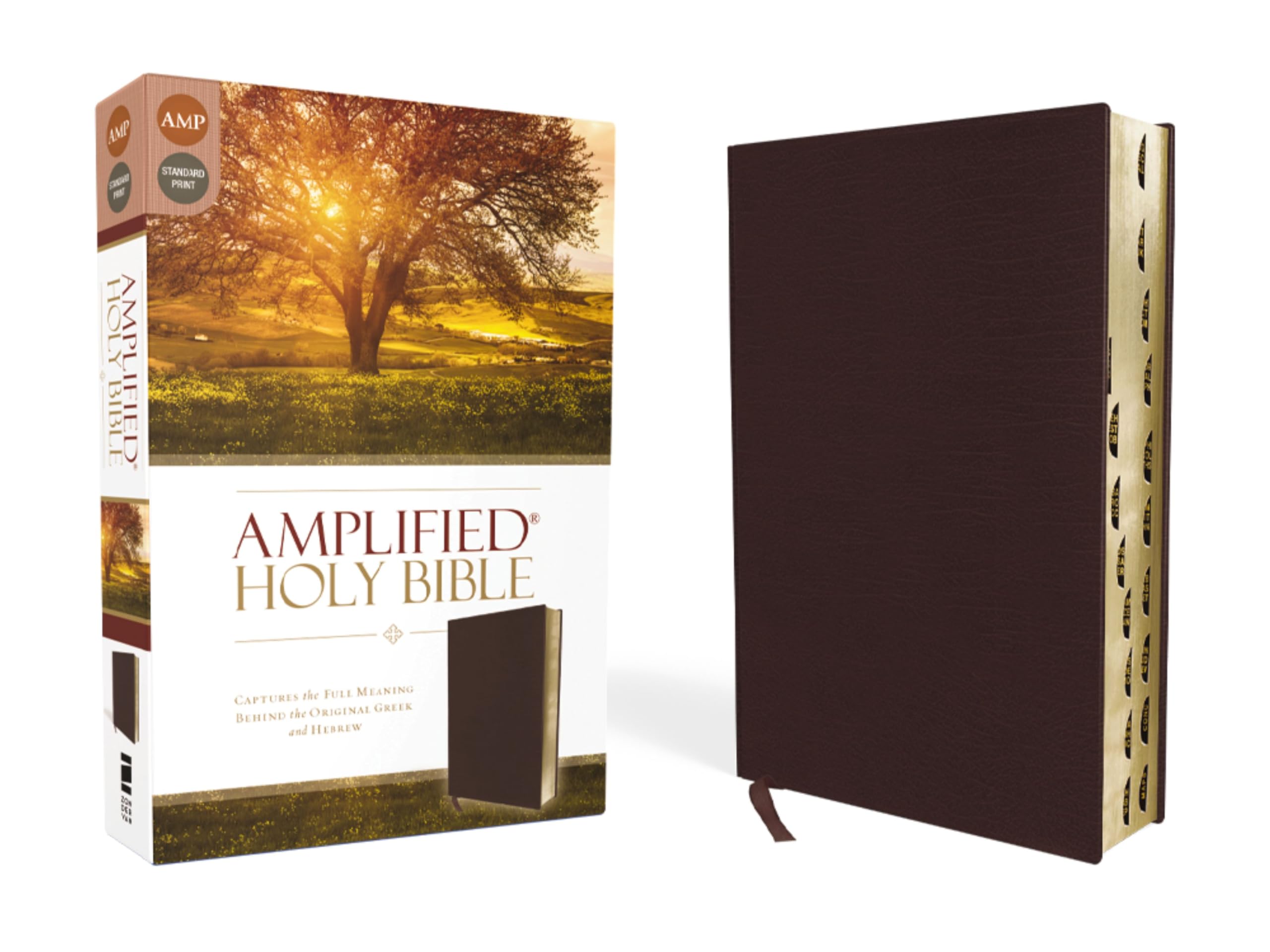 AMP Holy Bible Bonded Leather Burgundy Indexed 9780310443957