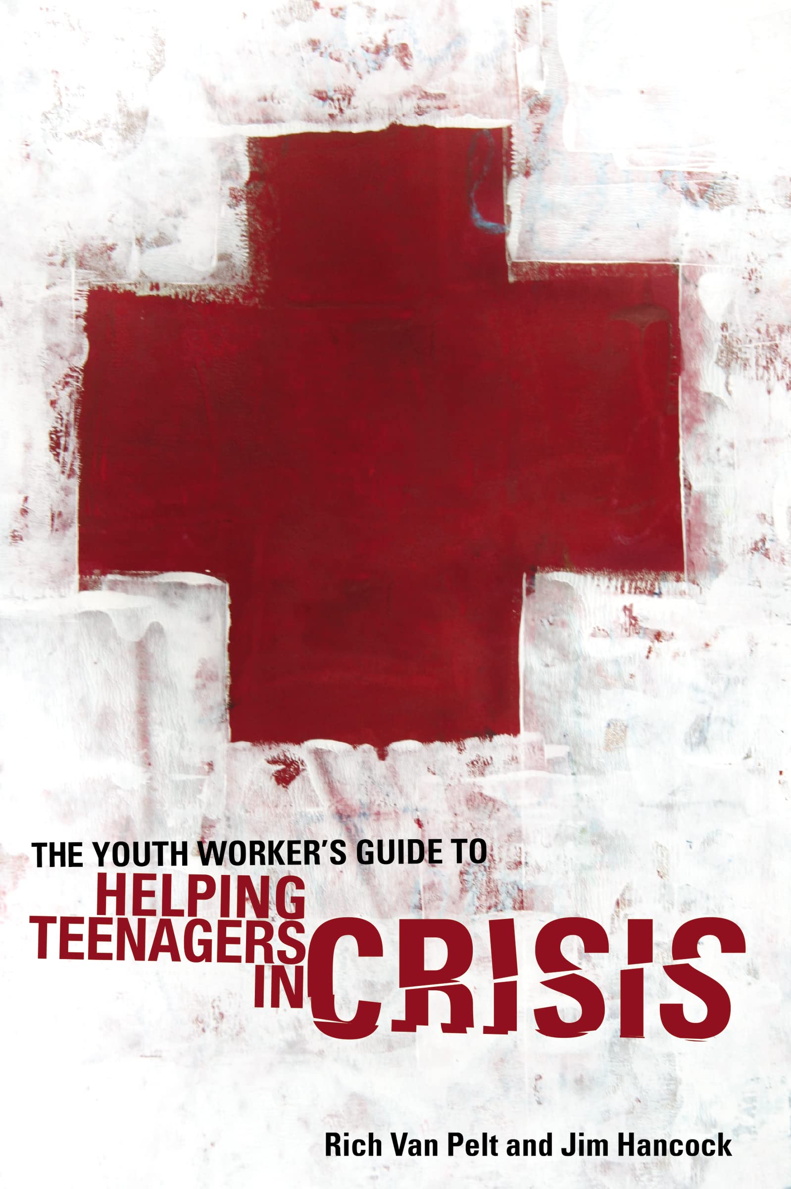 The Youth Worker's Guide to Helping Teenagers in Crisis (Youth Specialties) 9780310282495