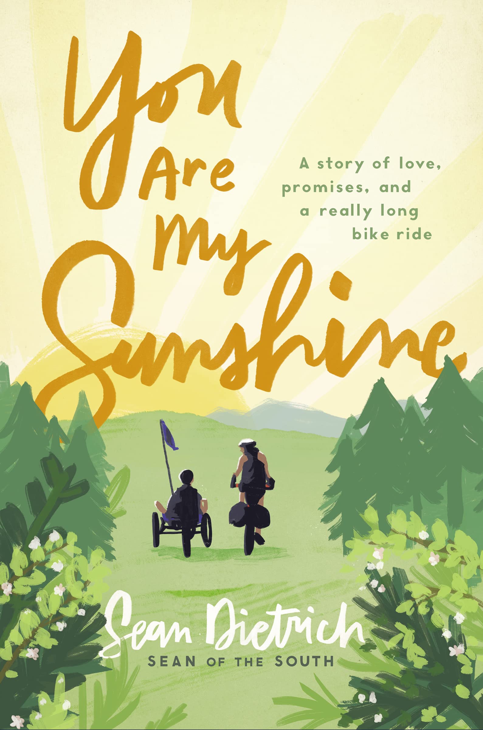 You Are My Sunshine: A Story of Love, Promises, and a Really Long Bike Ride (Sean of the South) 9780310355786