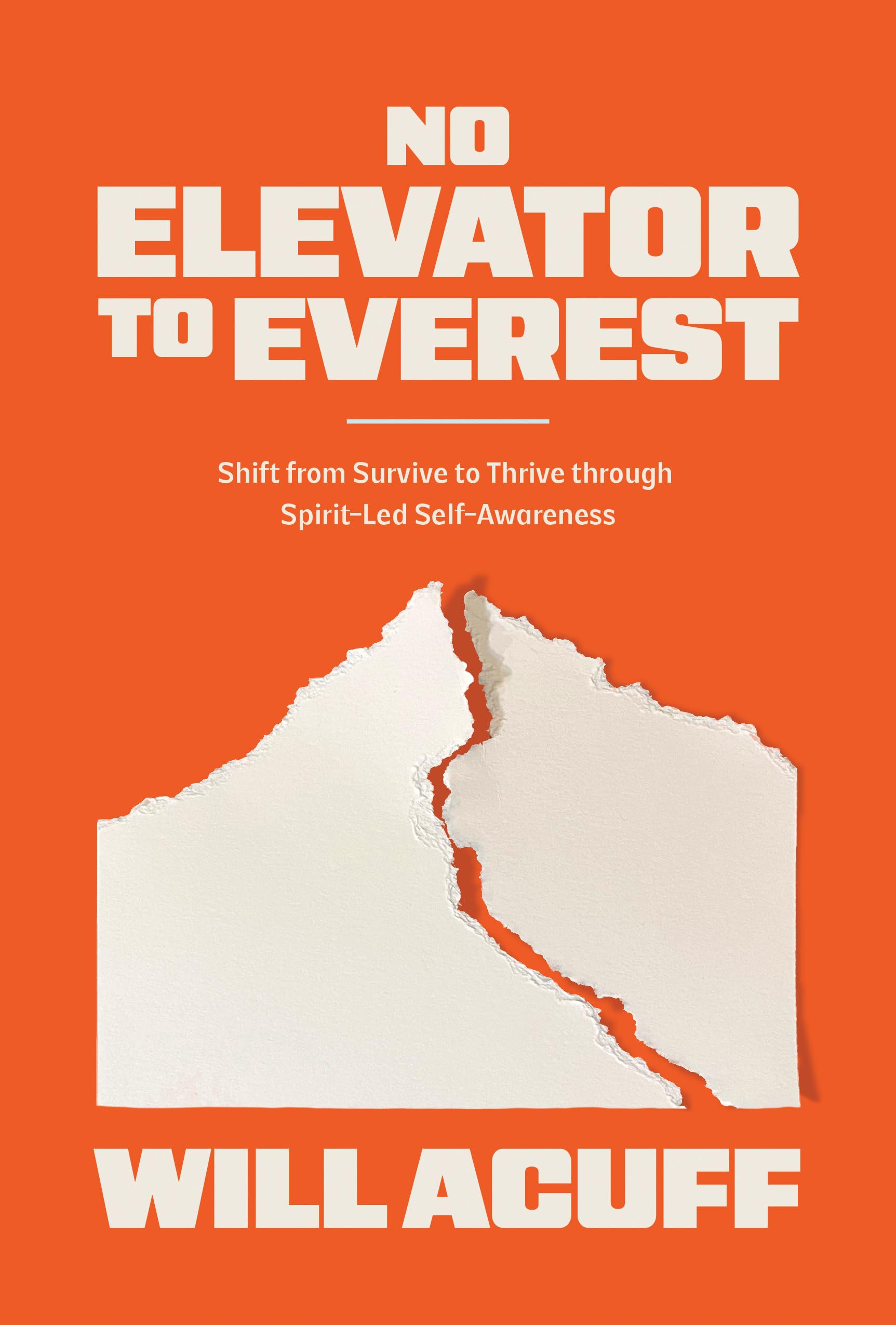 No Elevator to Everest: Shift from Survive to Thrive through Spirit-Led Self-Awareness 9780830787913