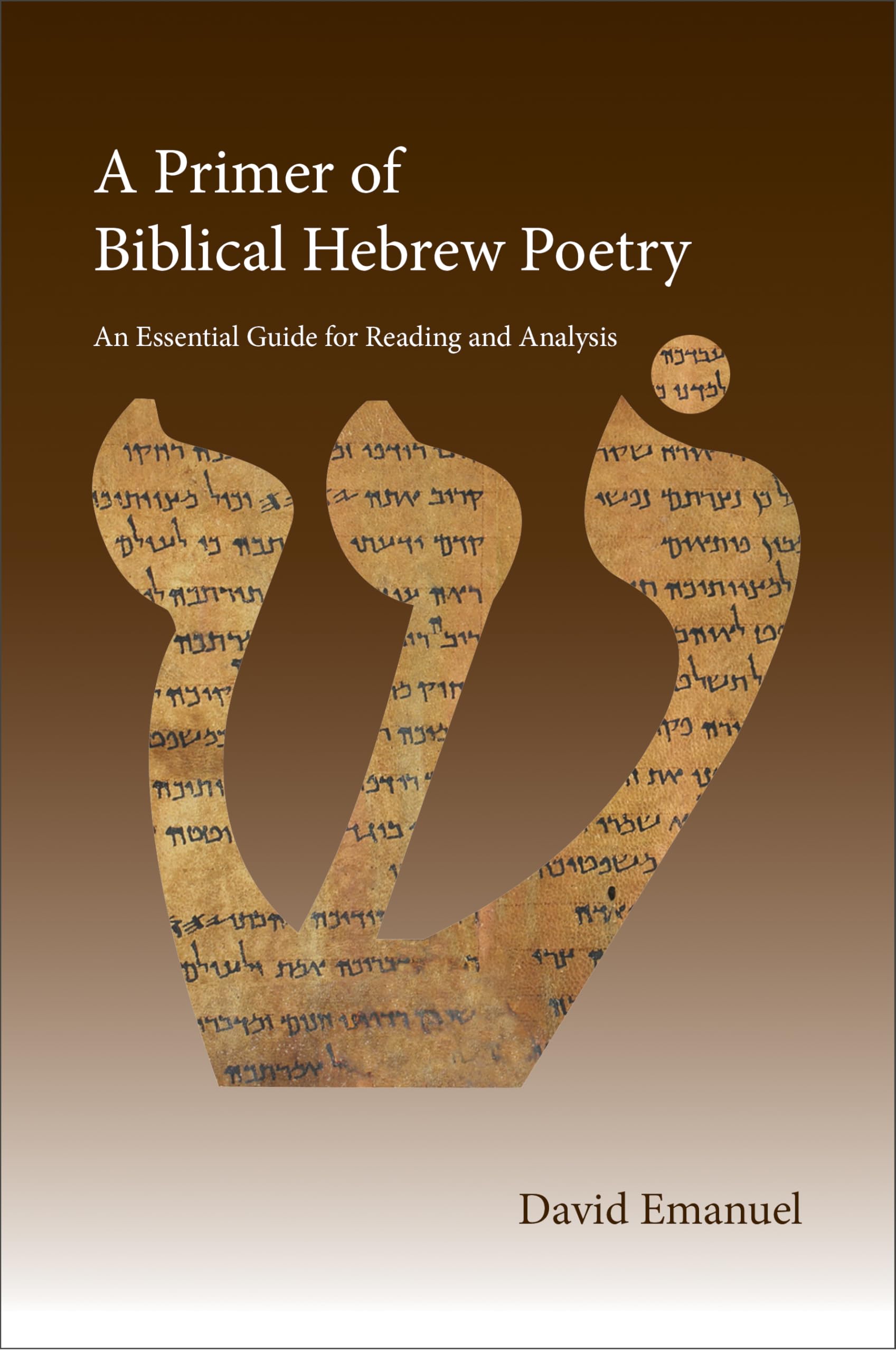 A Primer of Biblical Hebrew Poetry: An Essential Guide for Reading and Analysis 9780310165828