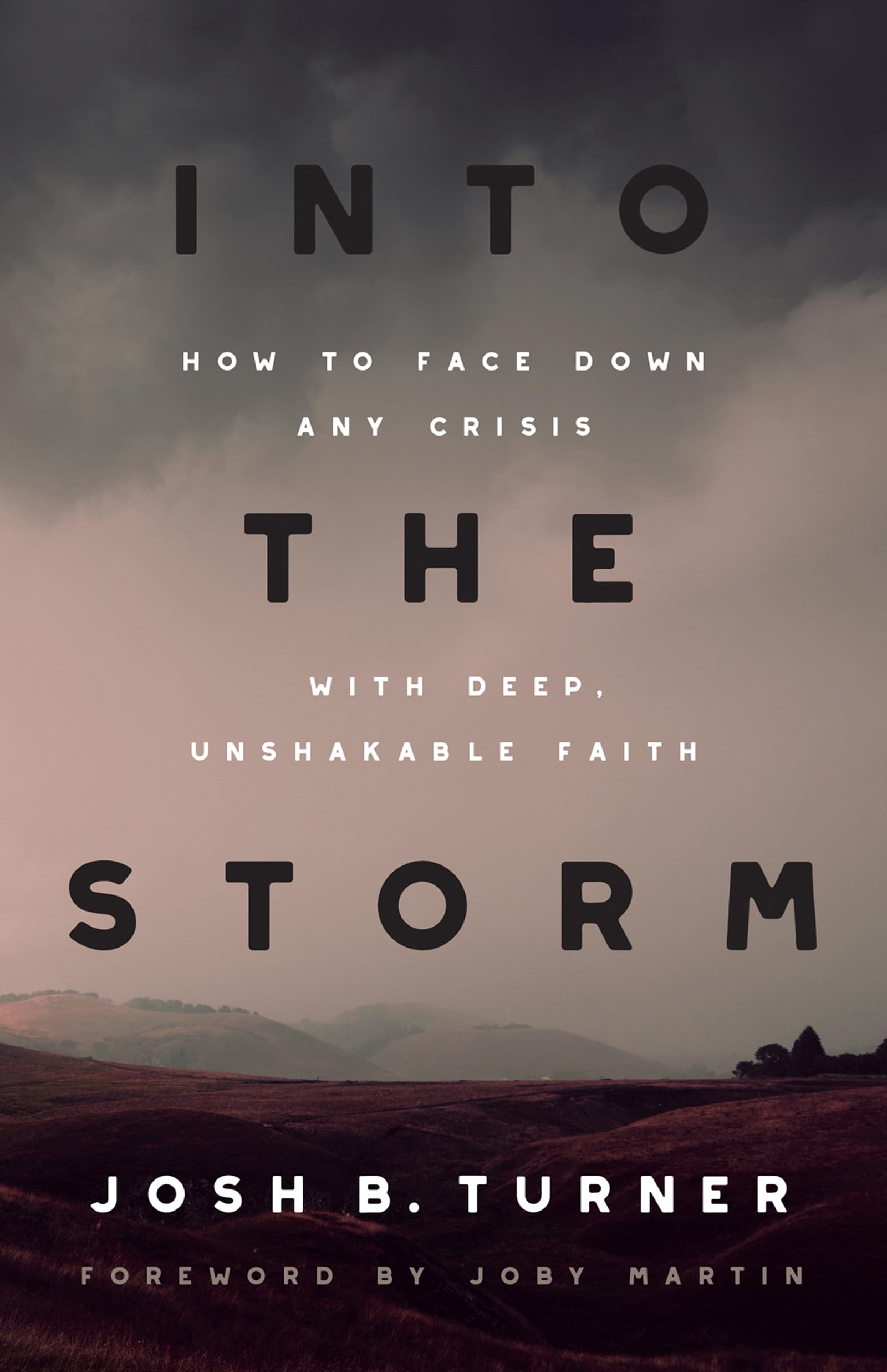 Into the Storm: How to Face Down Any Crisis with Deep, Unshakable Faith 9780736987745