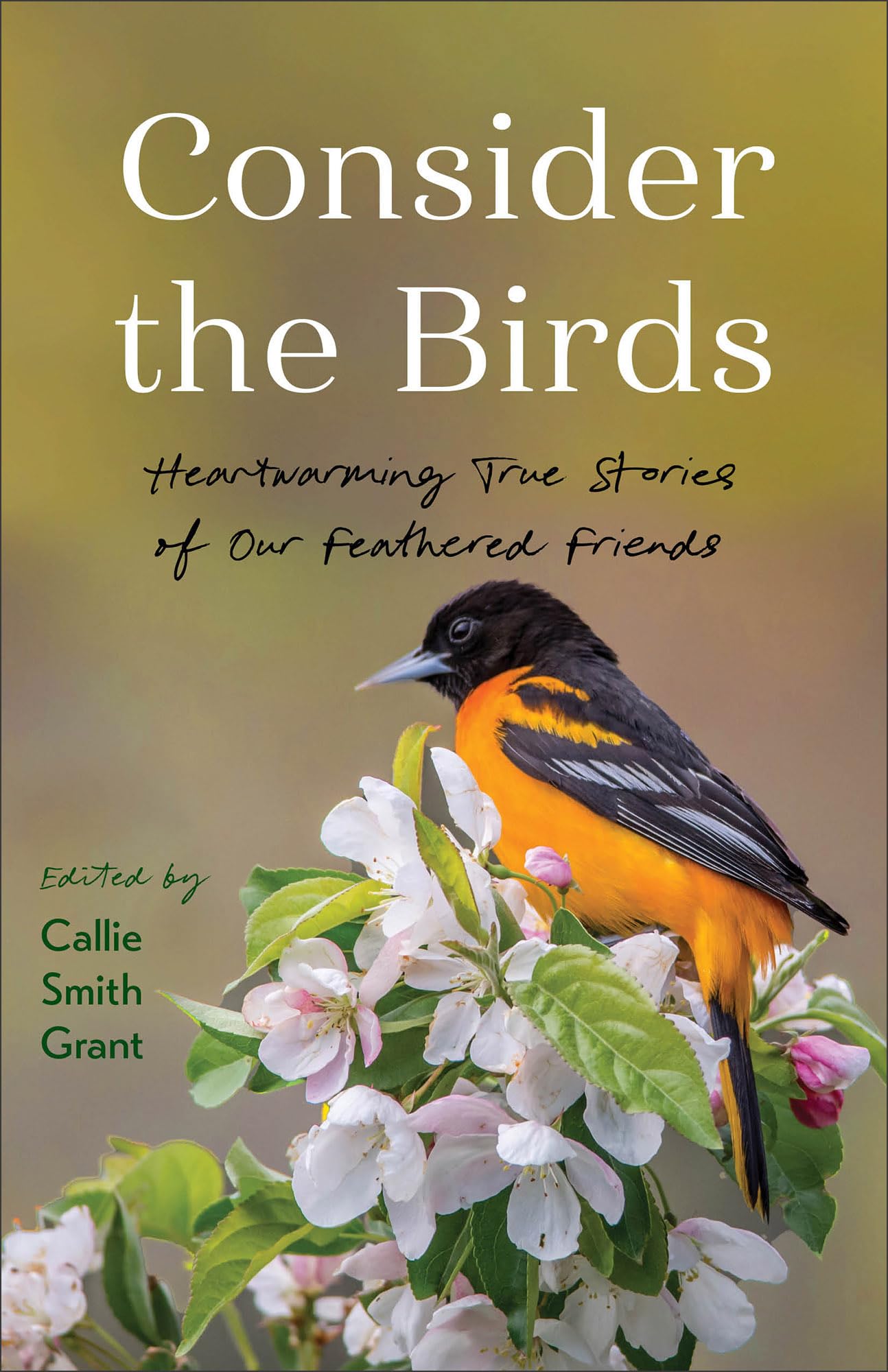 Consider the Birds: Heartwarming True Stories of Our Feathered Friends 9780800740955