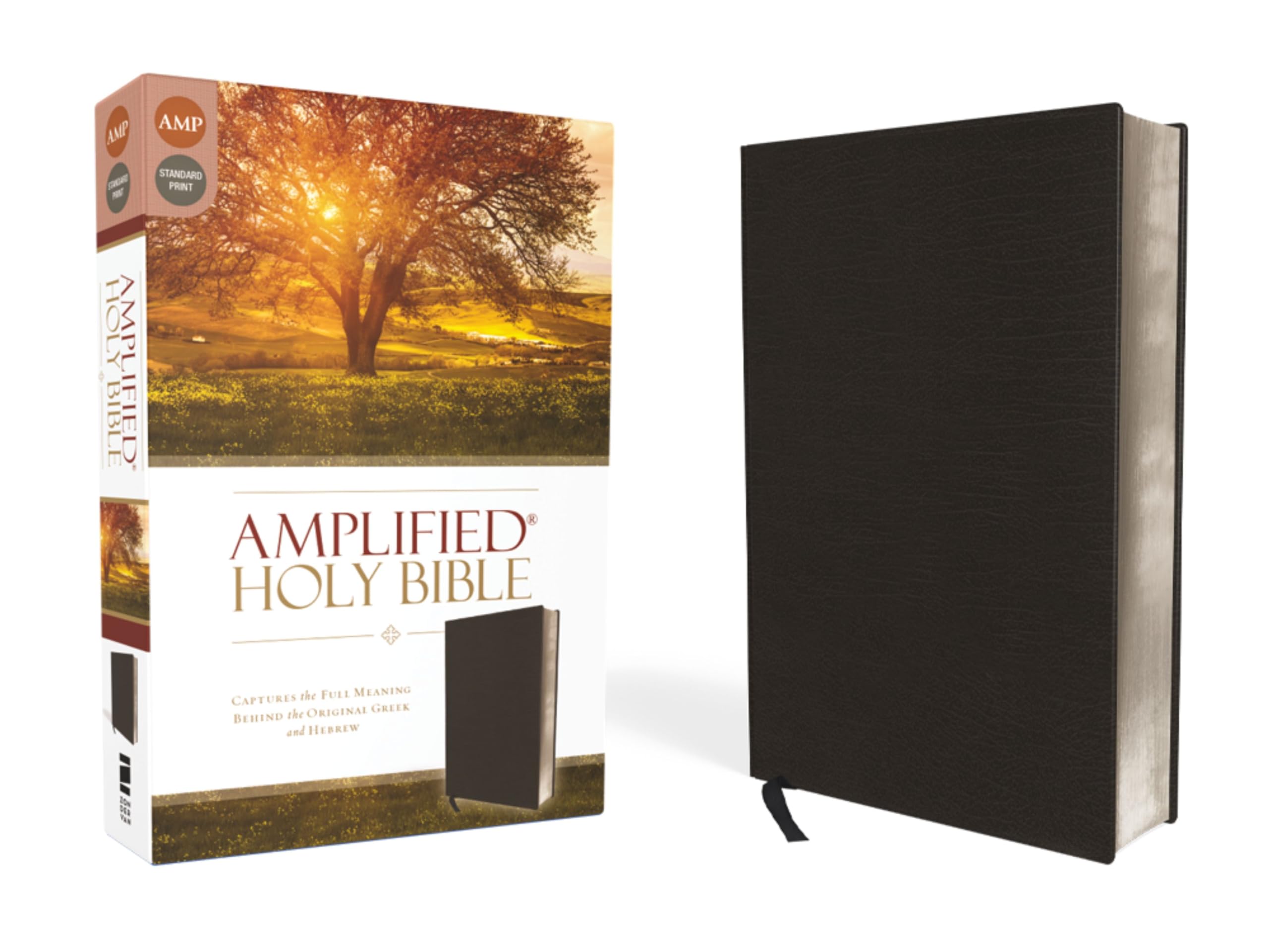 AMP Holy Bible Bonded Leather Black 9780310443926