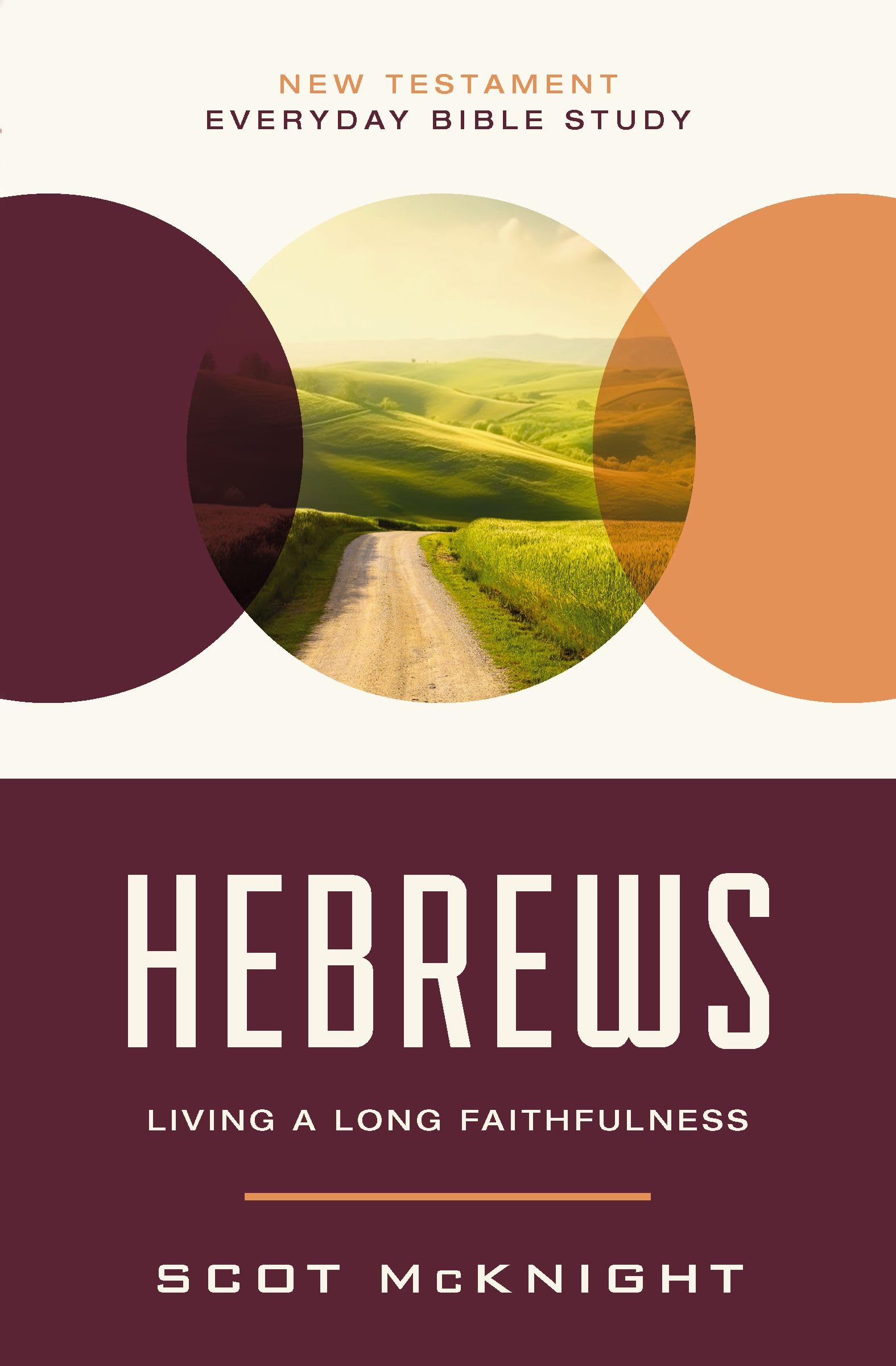 Hebrews: Living a Long Faithfulness (New Testament Everyday Bible Study Series) 9780310129530