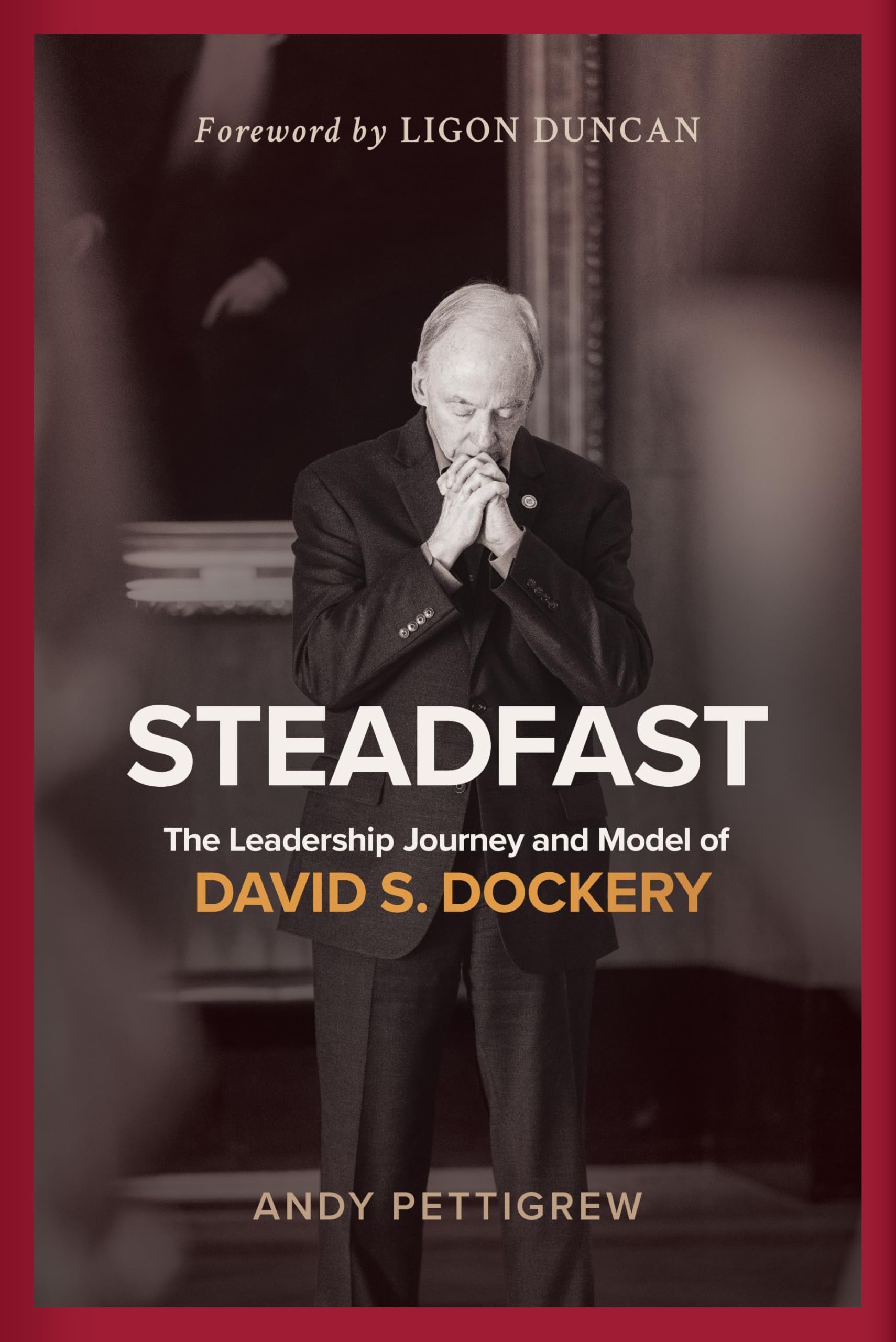 Steadfast: The Leadership Journey and Model of David S. Dockery 9798384500193