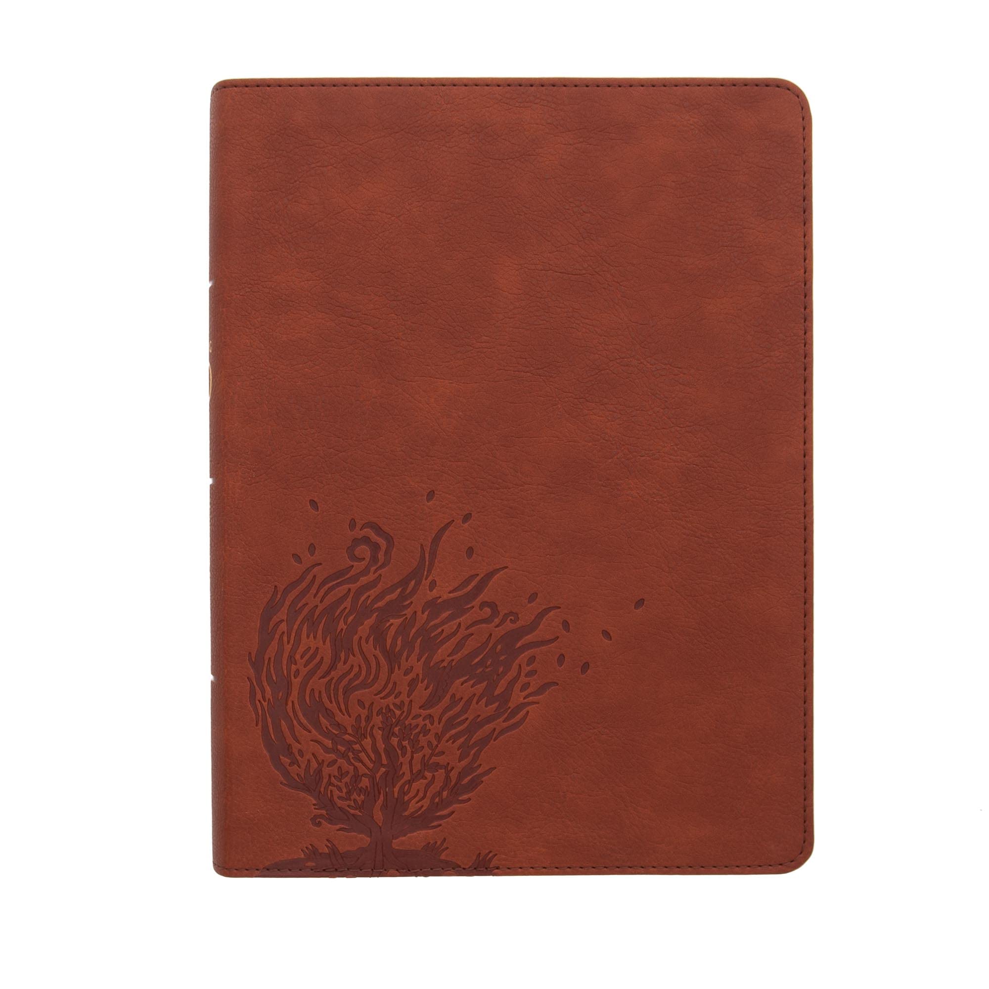 CSB Experiencing God Bible, Burnt Sienna LeatherTouch, Full-Color Design 9781087714189