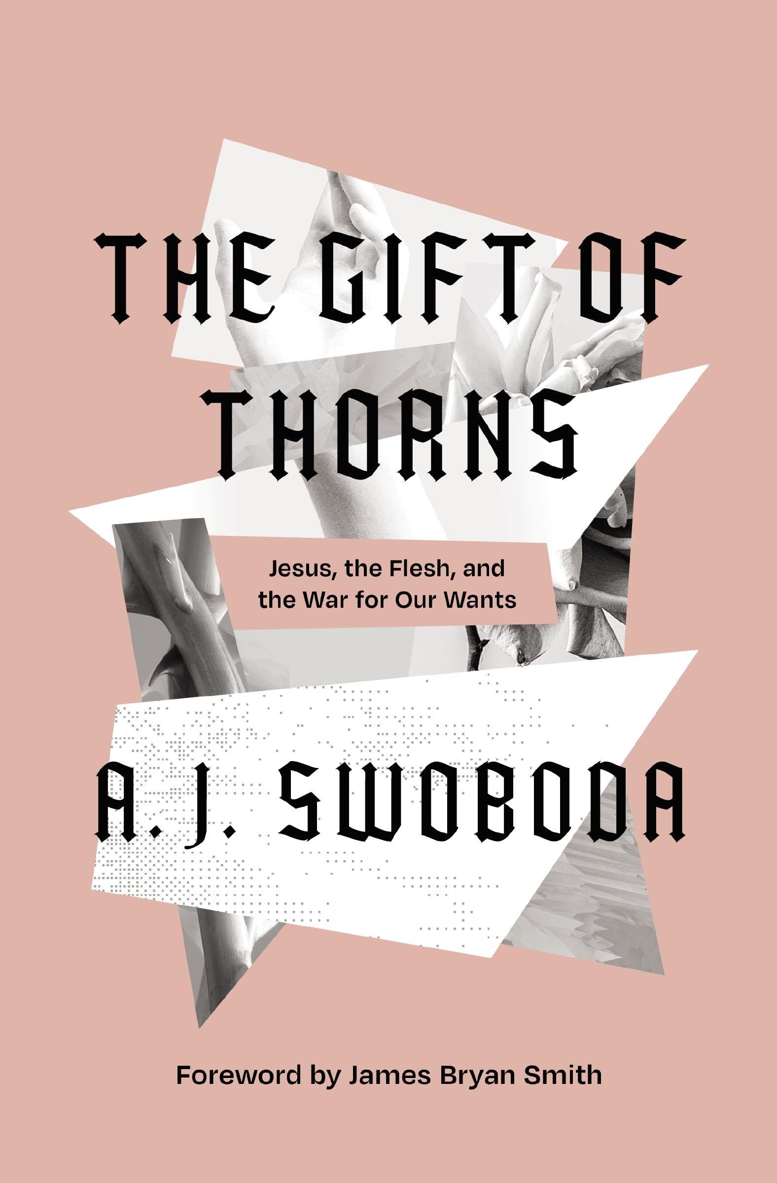 The Gift of Thorns: Jesus, the Flesh, and the War for Our Wants 9780310153283