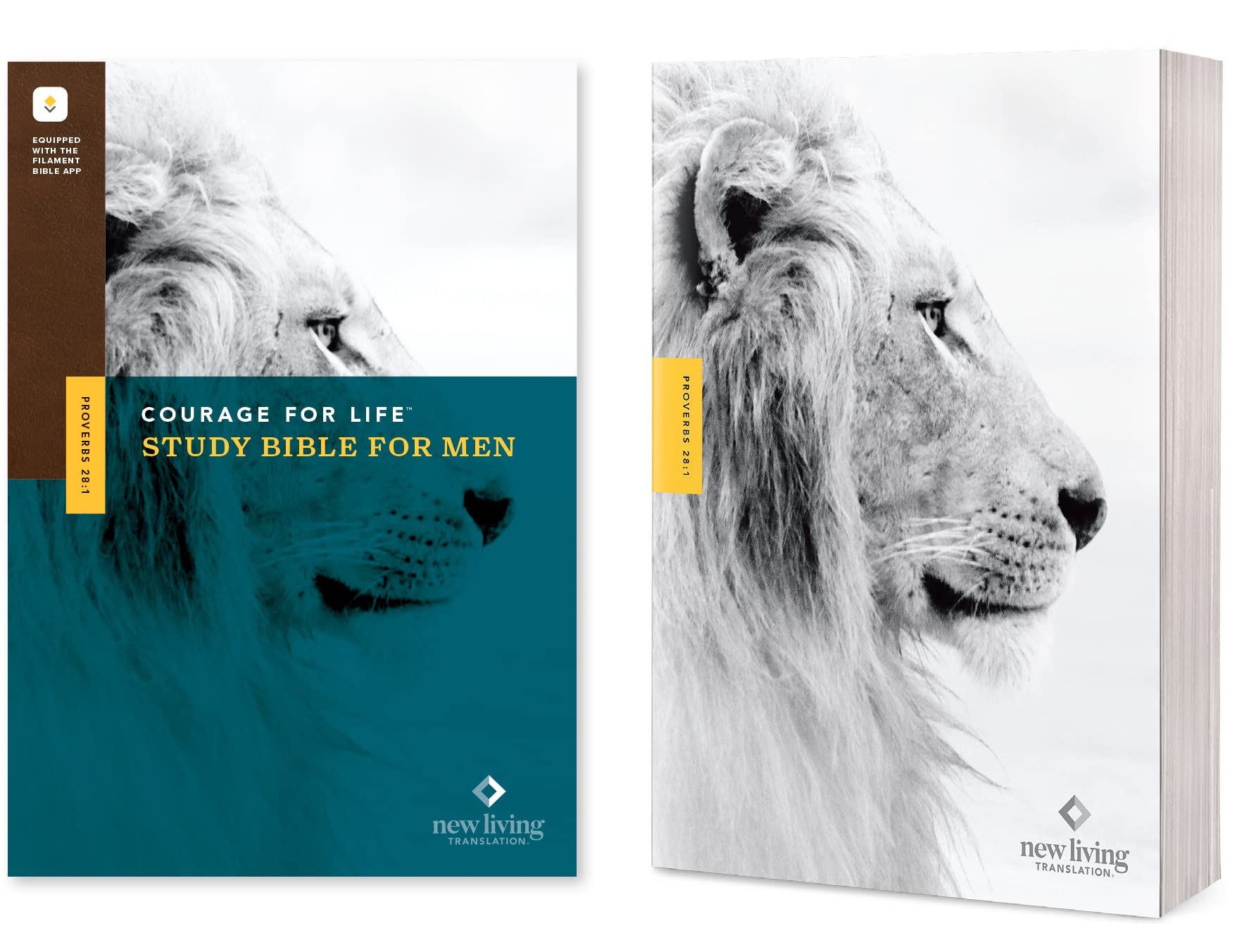 NLT Courage For Life Study Bible for Men (Softcover, Filament Enabled) 9781496475541