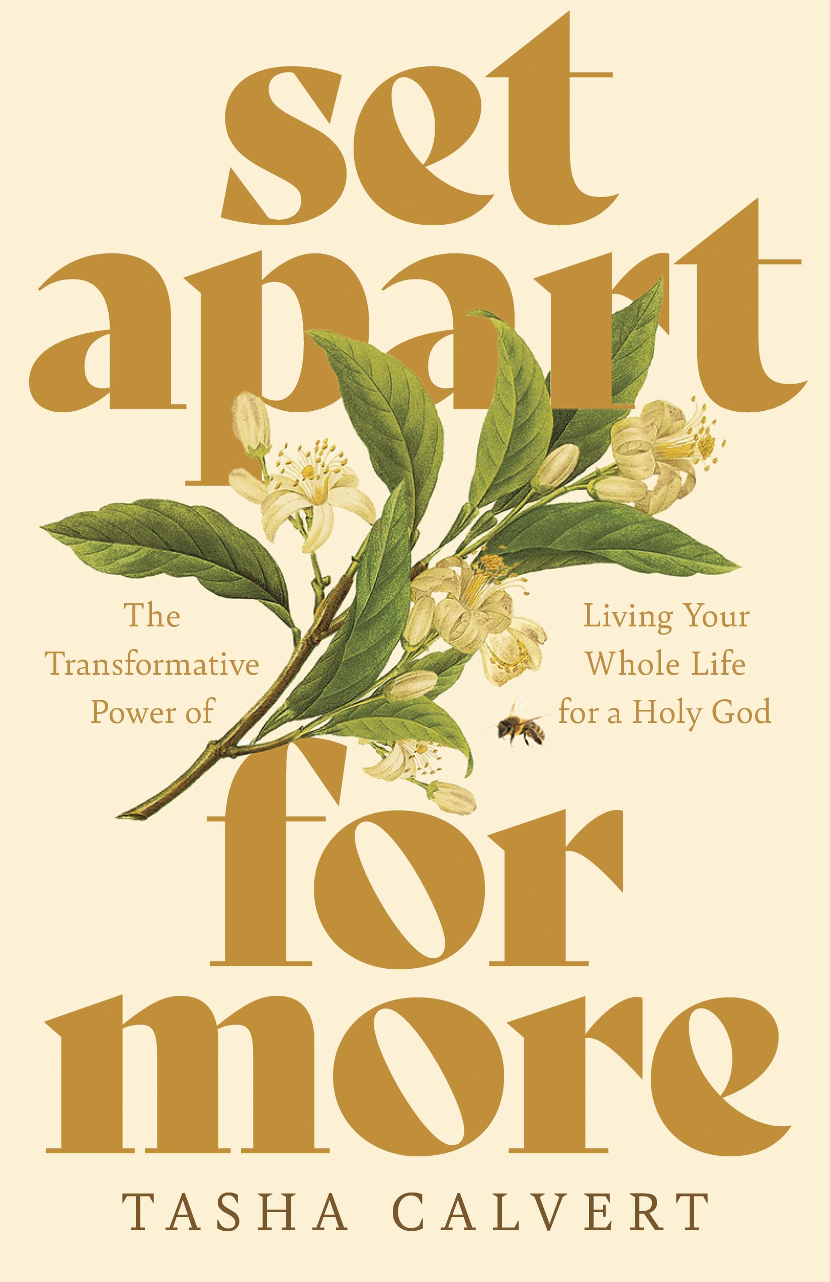 Set Apart for More: The Transformative Power of Living Your Whole Life for a Holy God 9798384529804