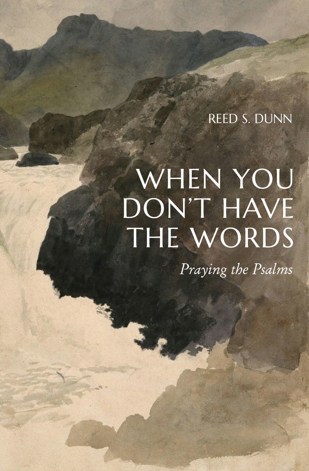 When You Don't Have the Words: Praying the Psalms 9781683598060