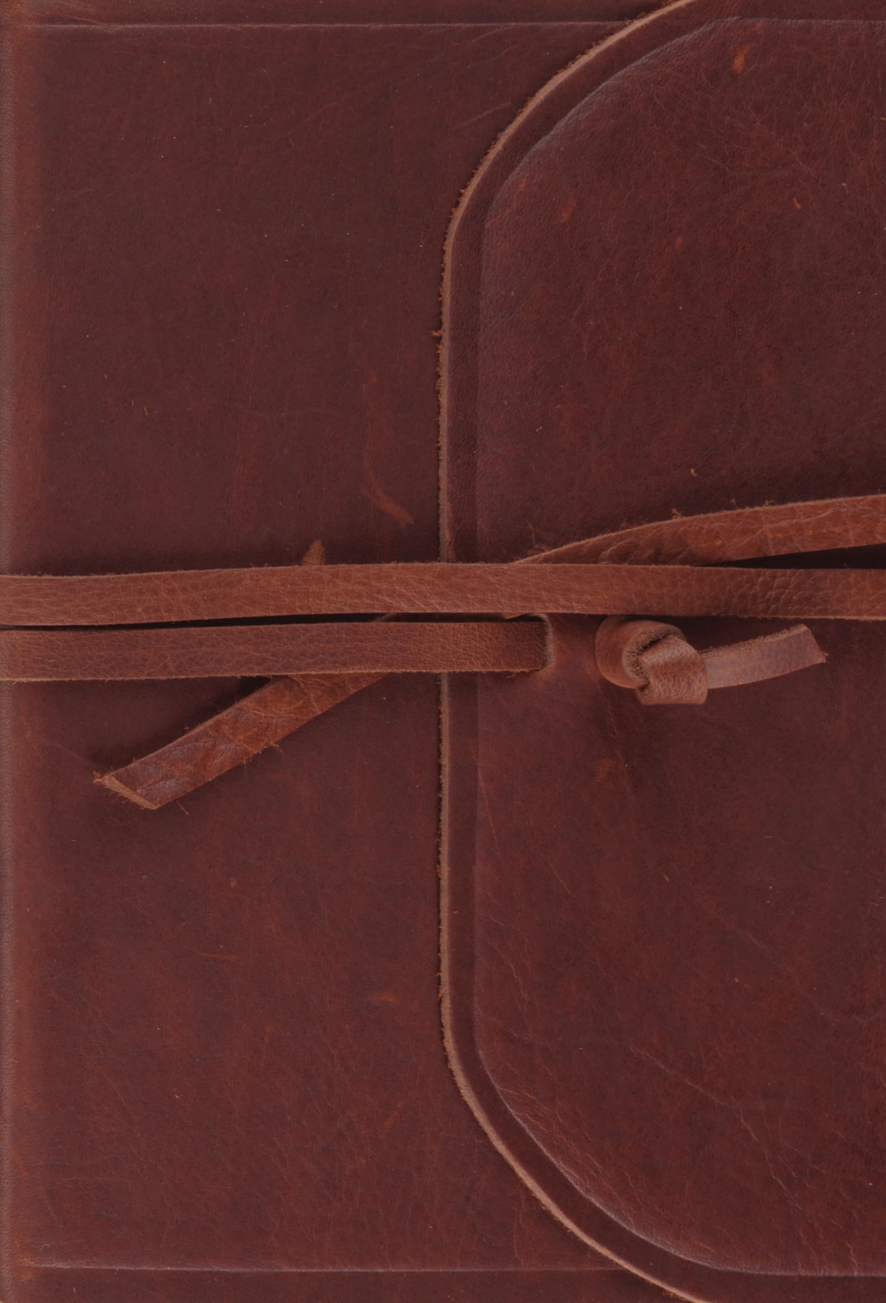 ESV Large Print Compact Bible (Brown, Flap with Strap) 9781433551598