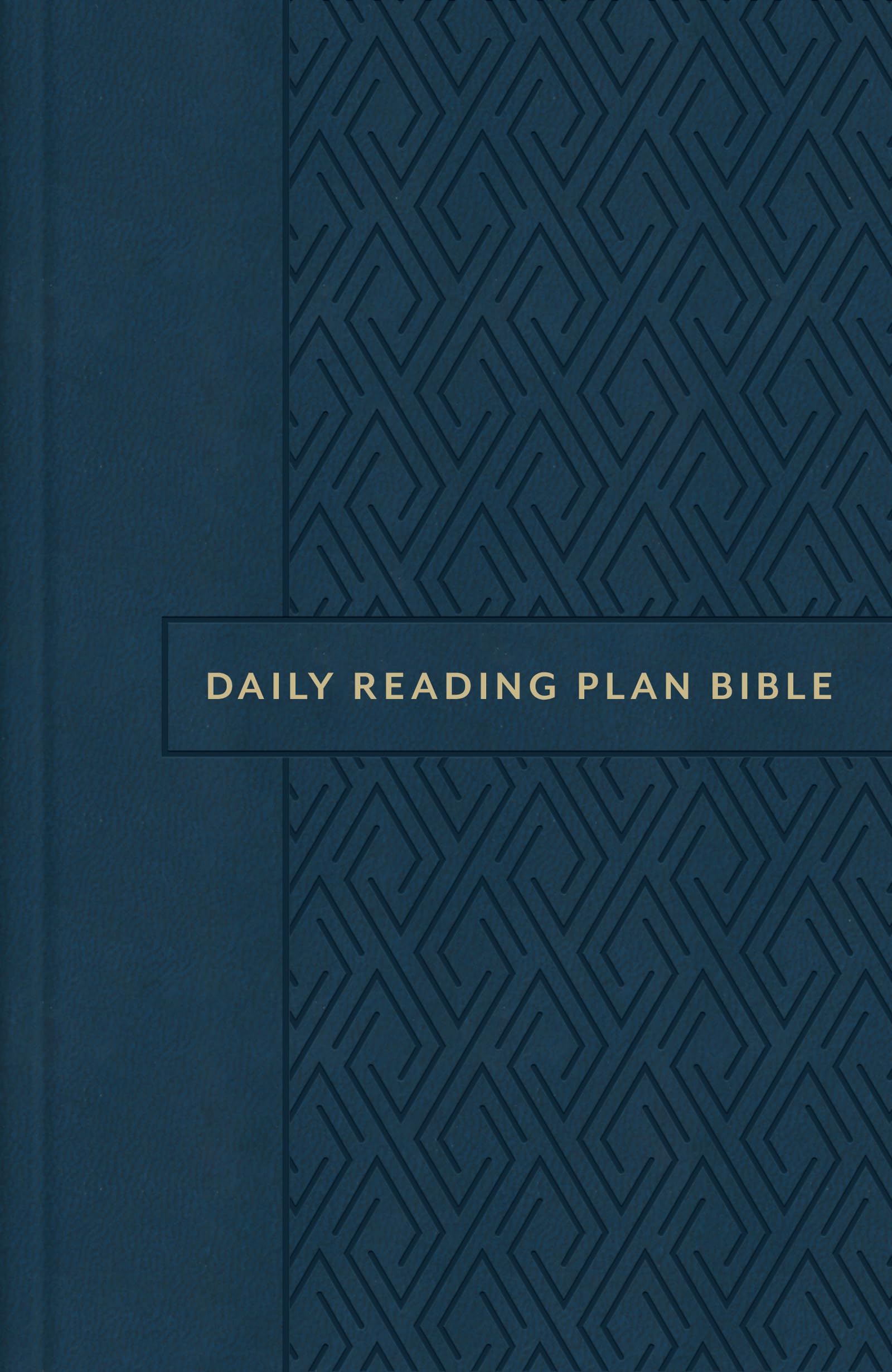 KJV The Daily Reading Plan Bible: in 365 Segments Plus Devotions Highlighting God's Promises, Oxford Diamond 9781636093833
