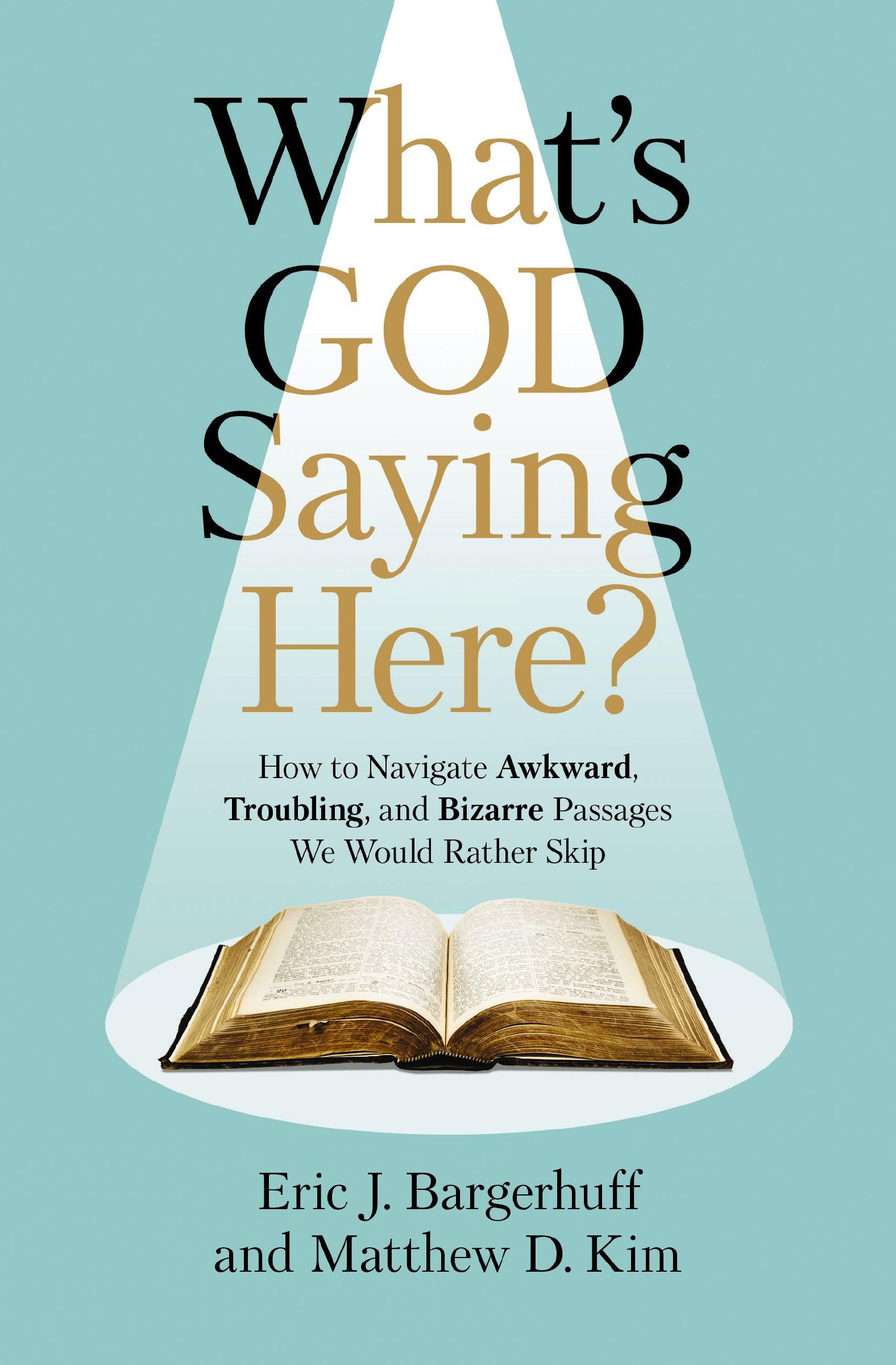 What's God Saying Here?: How to Navigate Awkward, Troubling, and Bizarre Passages We Would Rather Skip 9780310159117