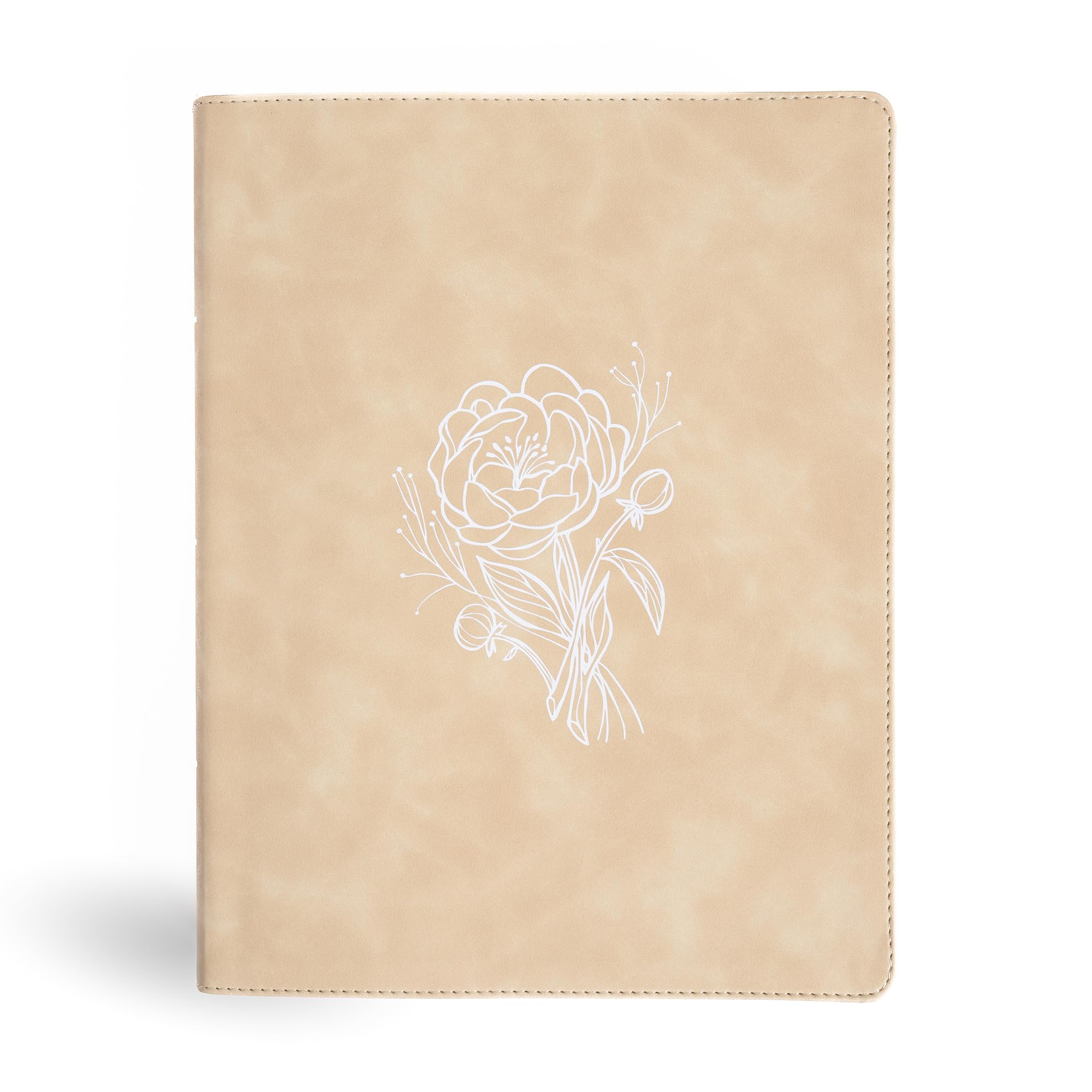 CSB Illustrator’s Notetaking Bible, Large Print Edition, Cream LeatherTouch, Black Letter, Wide Margins, Journaling Space, 600+ Line-Art Illustrations, Single-Column Text, Reading Plan 9798384518266