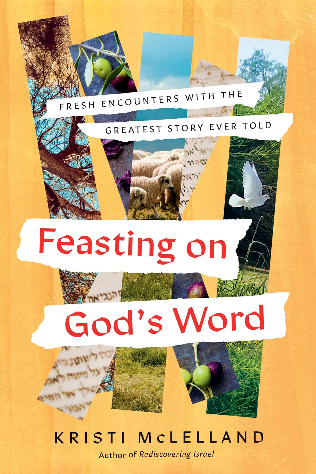 Feasting on God's Word: Fresh Encounters with the Greatest Story Ever Told 9780736990875