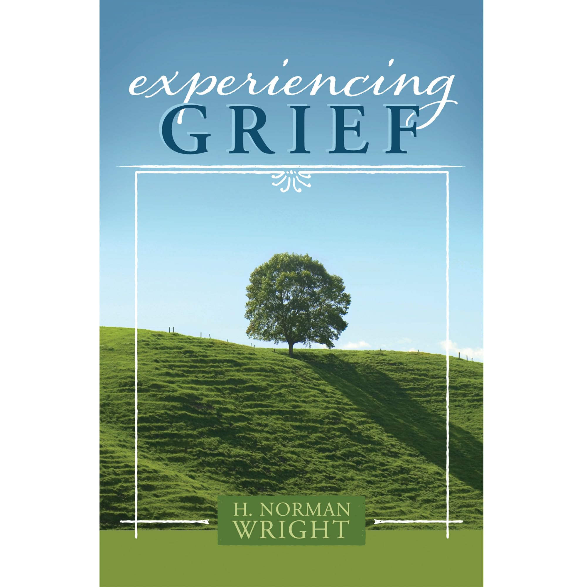 Experiencing Grief 9780805430929