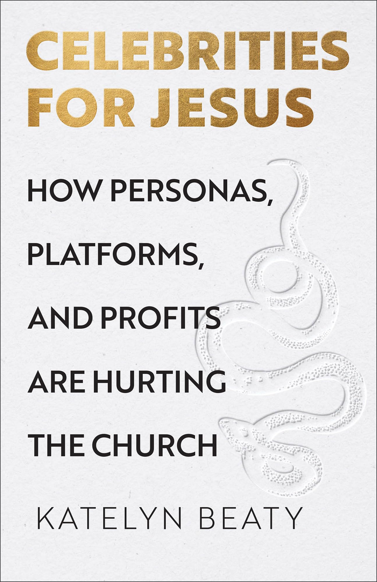 Celebrities for Jesus: How Personas, Platforms, and Profits Are Hurting the Church 9781587437168