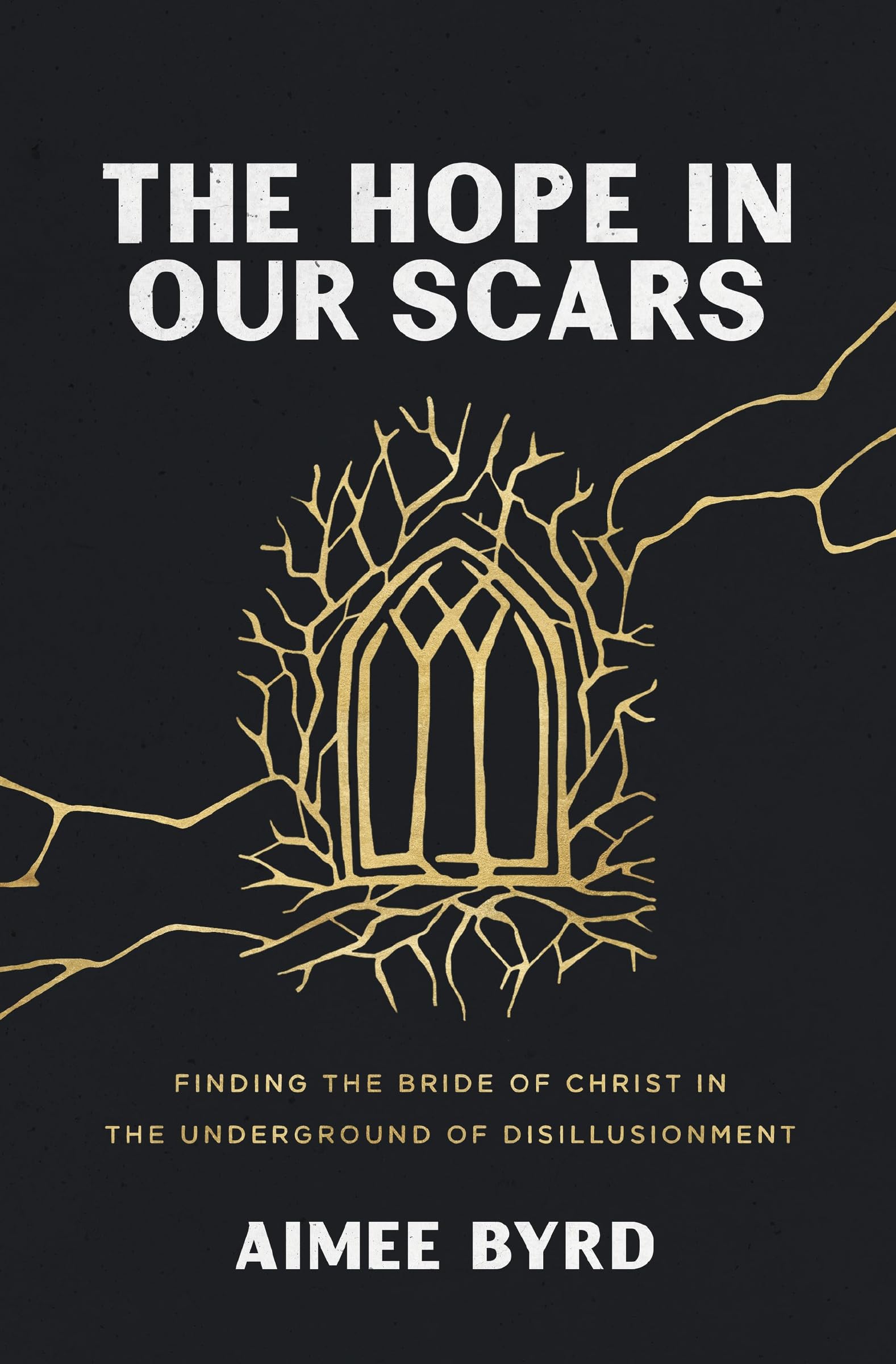 The Hope in Our Scars: Finding the Bride of Christ in the Underground of Disillusionment 9780310157144