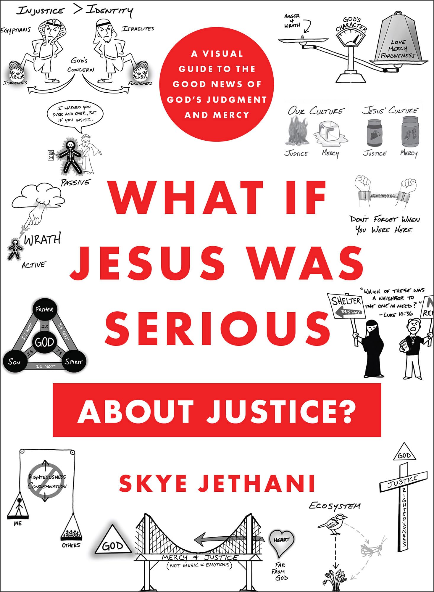 What If Jesus Was Serious about Justice?: A Visual Guide to the Good News of God's Judgment and Mercy 9781587436208