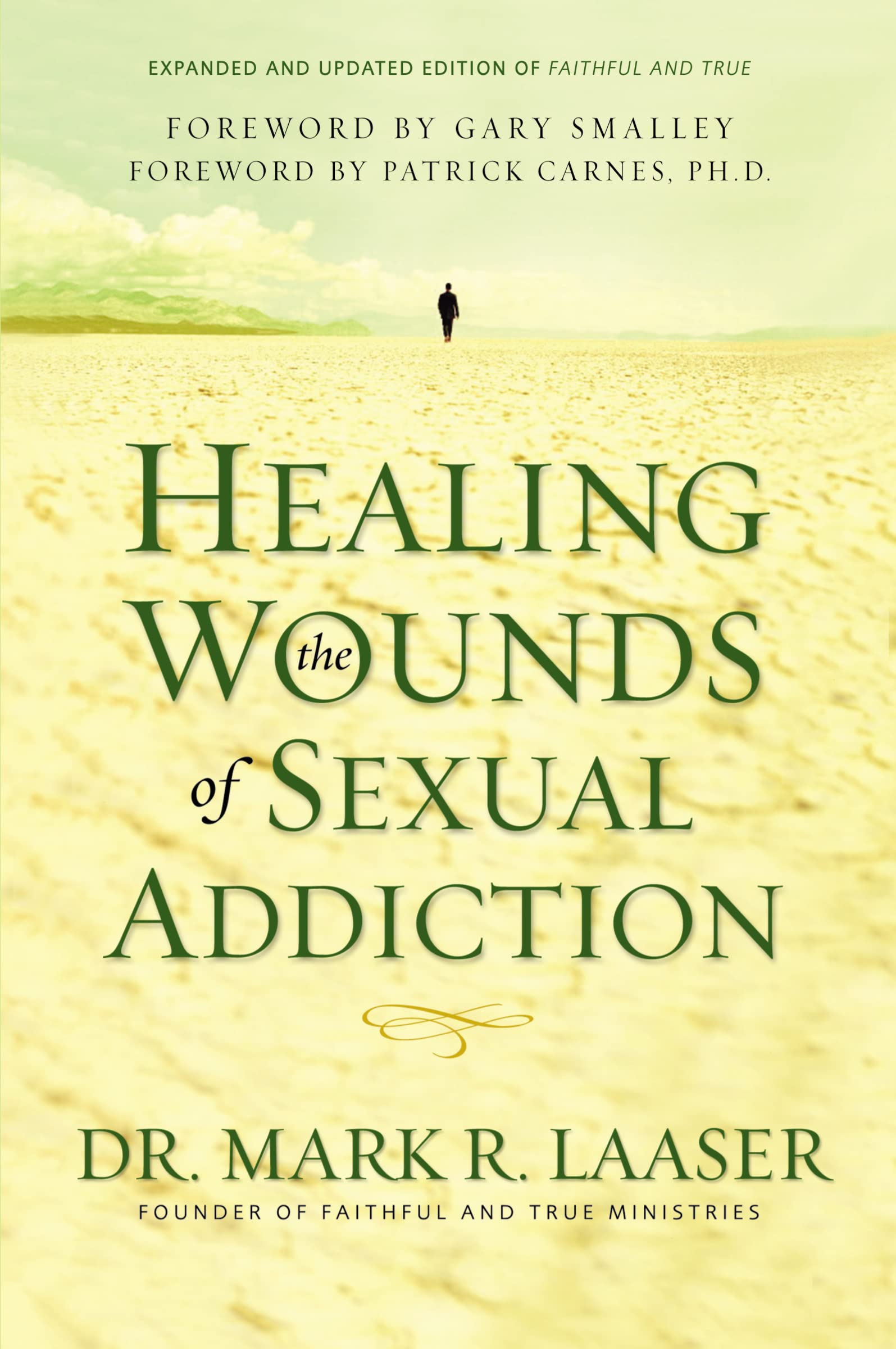 Healing the Wounds of Sexual Addiction 9780310256571