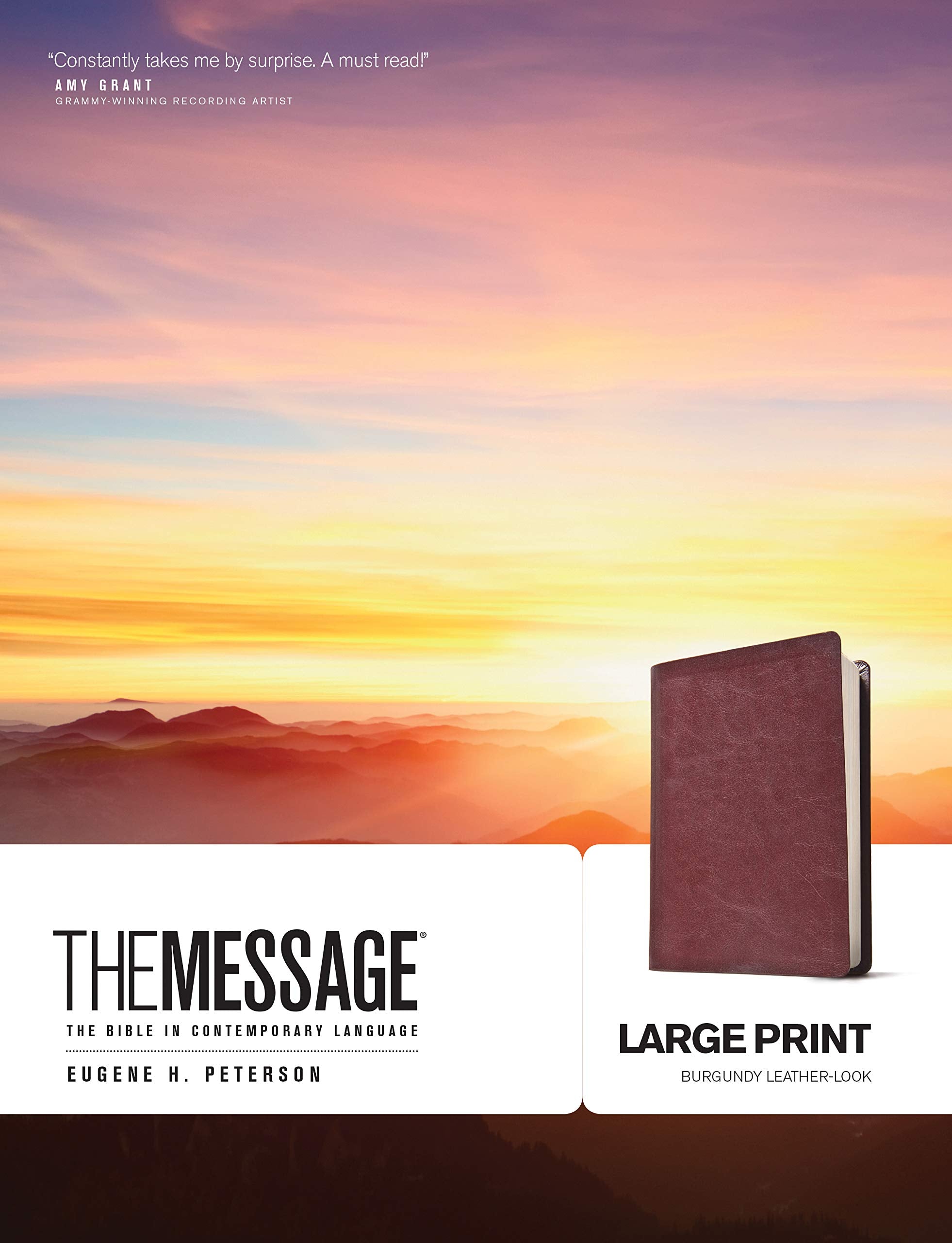 The Message Bible 9781576838464