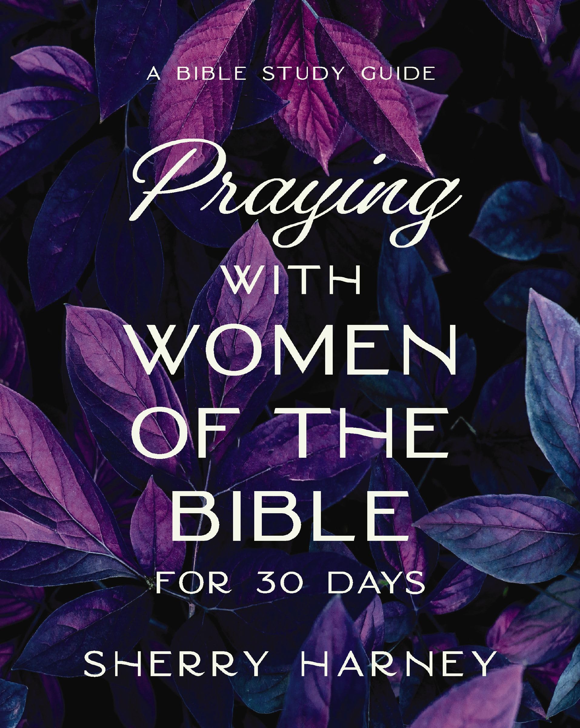 Praying with Women of the Bible for 30 Days: A Bible Study Guide 9780310171591