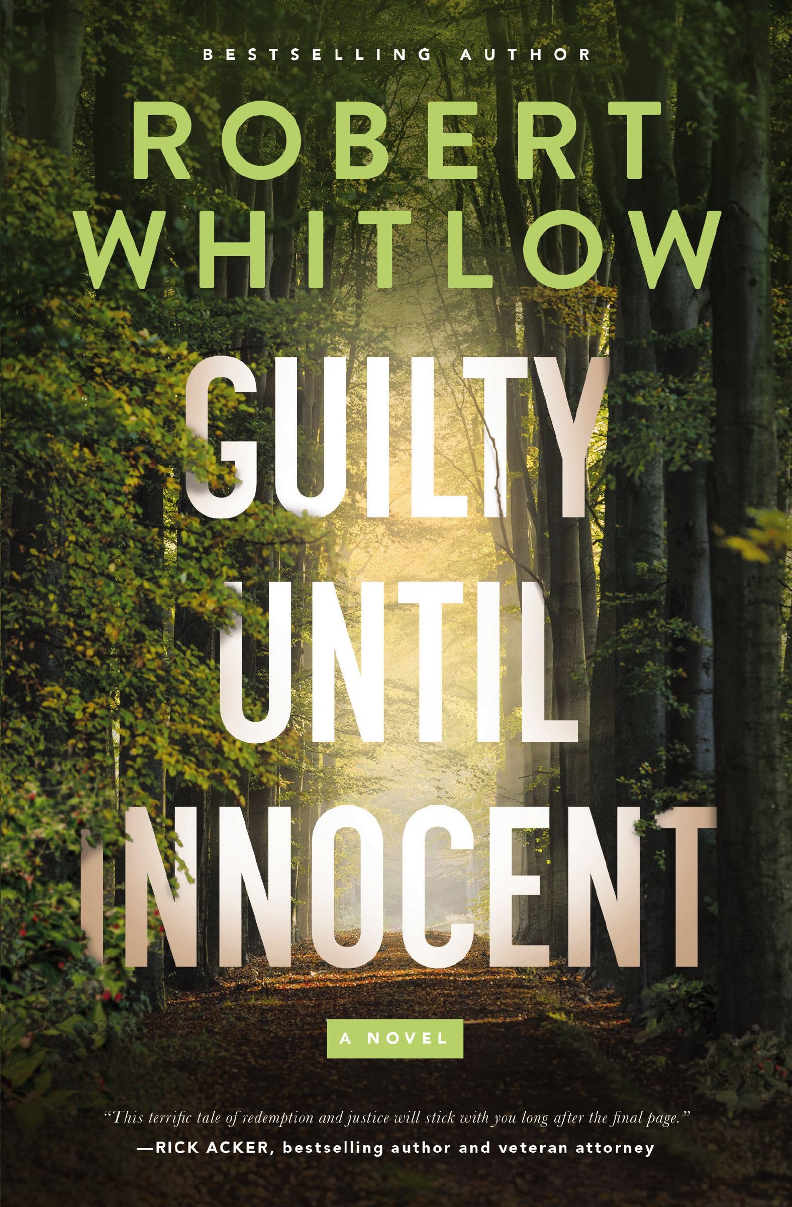 Guilty Until Innocent: A Legal Suspense 9781400344475