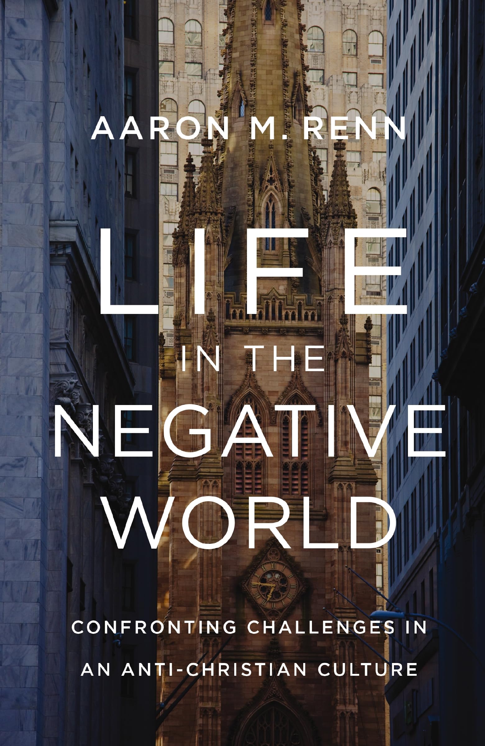 Life in the Negative World: Confronting Challenges in an Anti-Christian Culture 9780310155157