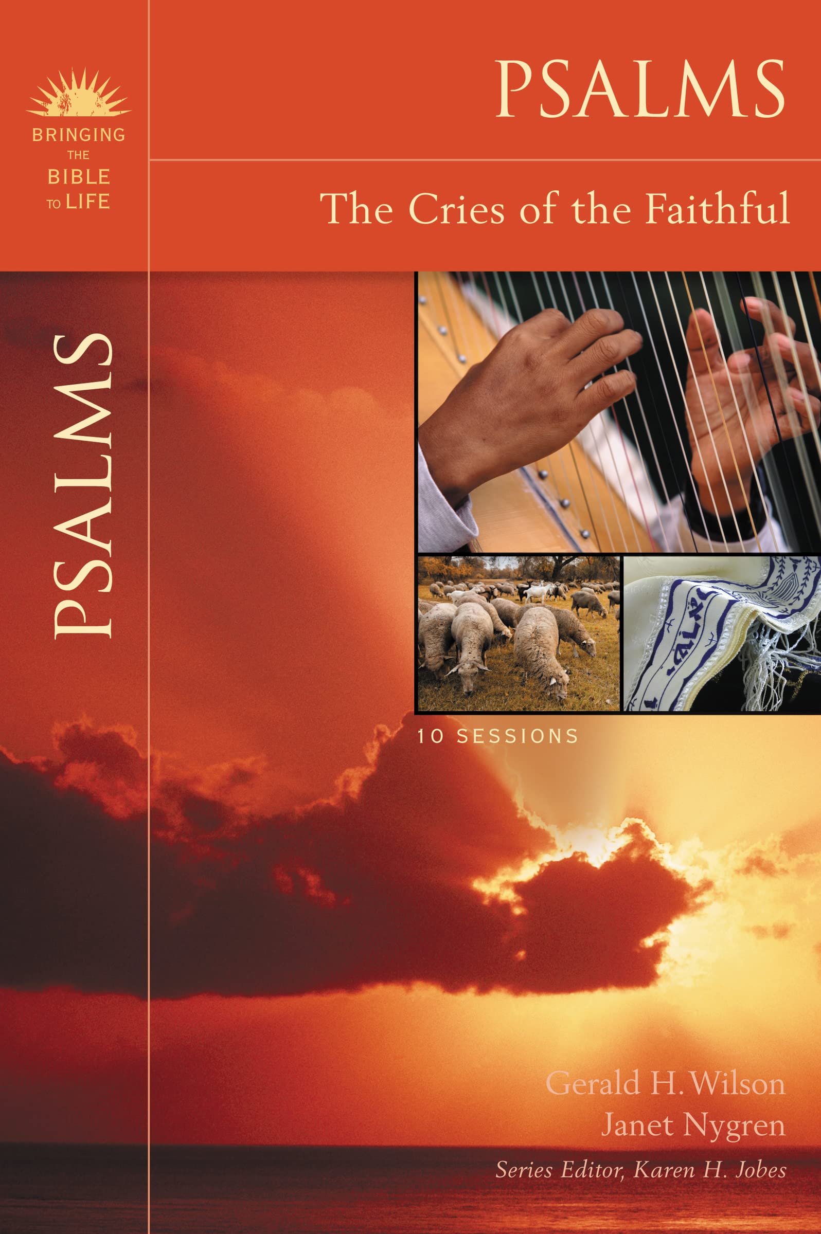 Psalms: The Cries of the Faithful (Bringing the Bible to Life) 9780310324379