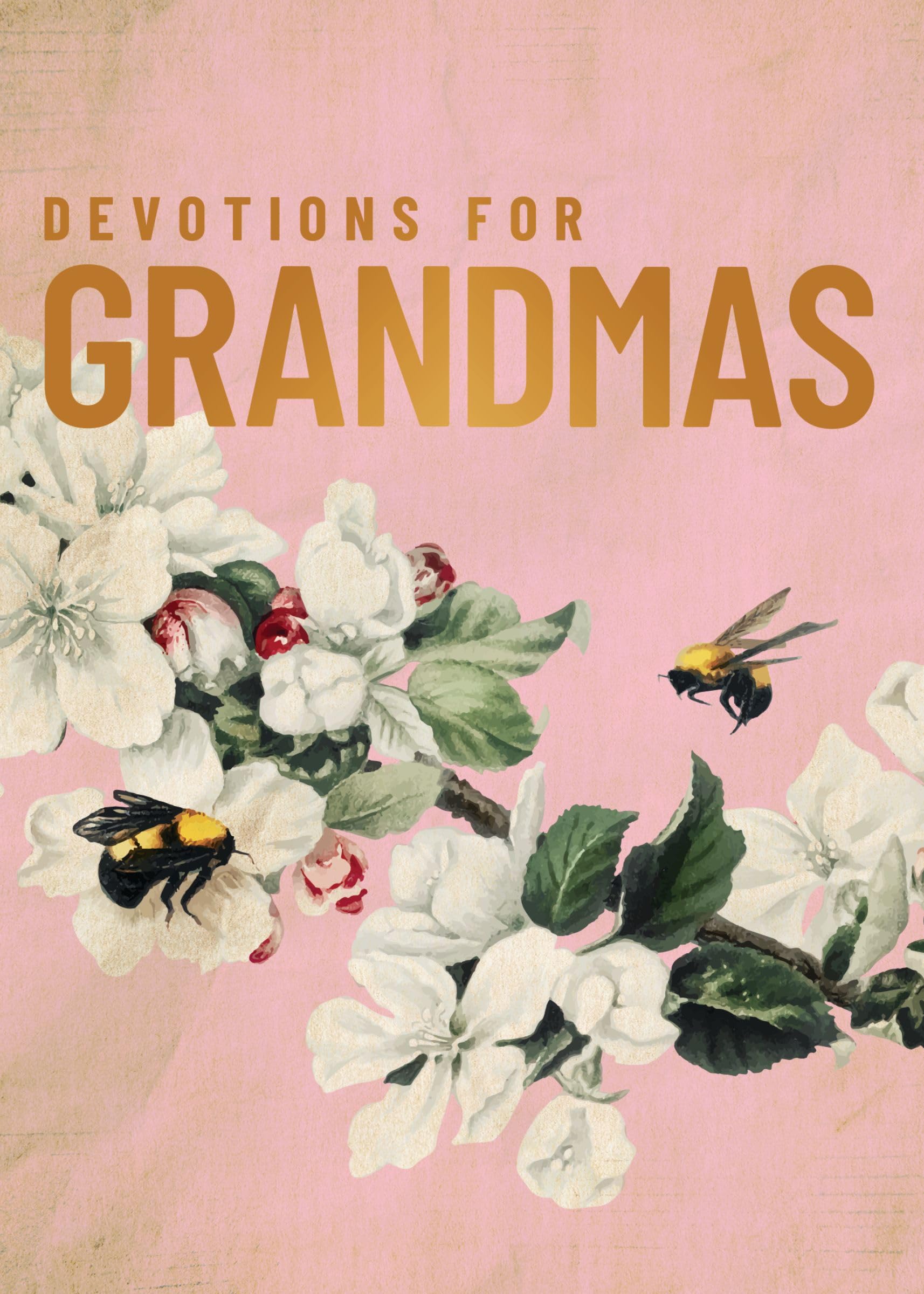 Devotions for Grandmas: A 40-Day Bible Devotional to Encourage and Inspire Grandmothers - The Perfect Christian Gifts for Women 9780310467304